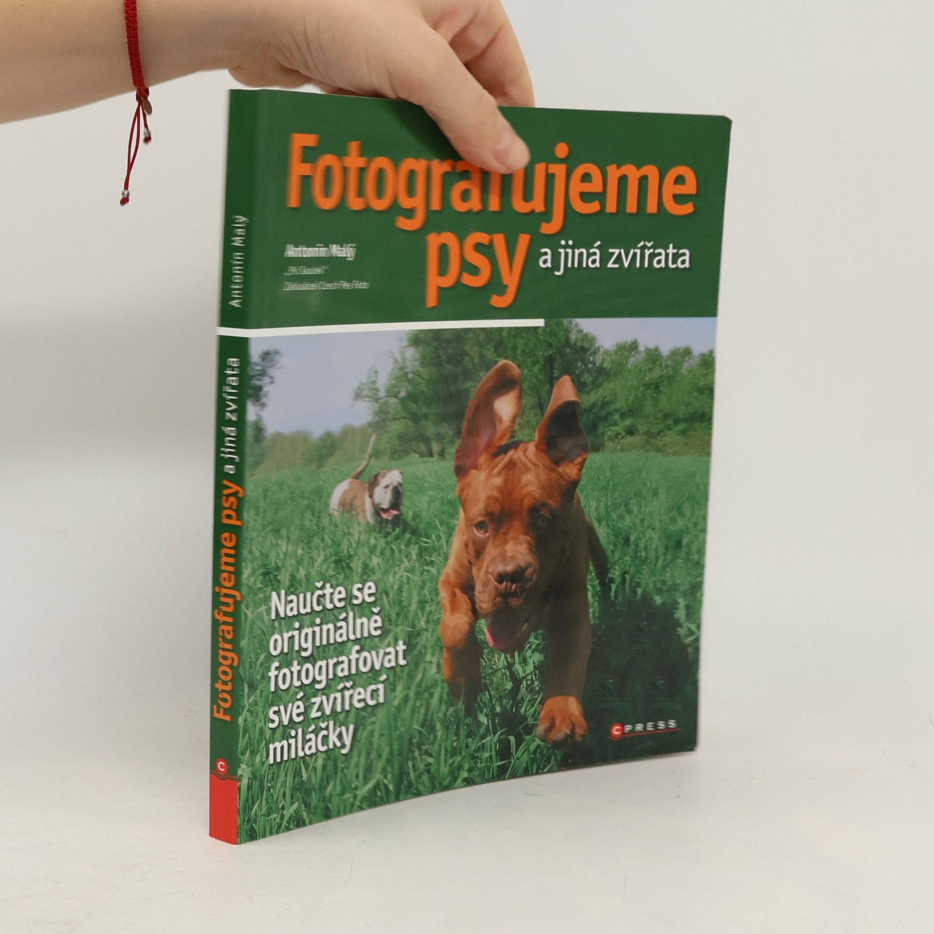 Fotografujeme psy a jiná zvířata