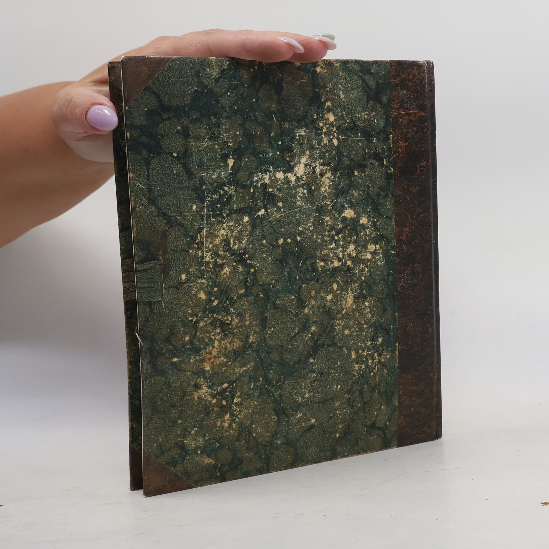 Hans Peter Sander Alt-Lienzer Kochbuch