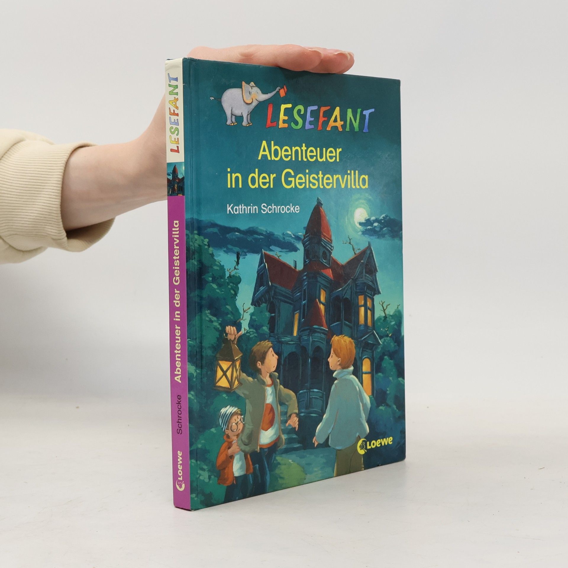 Abenteuer in der Geistervilla