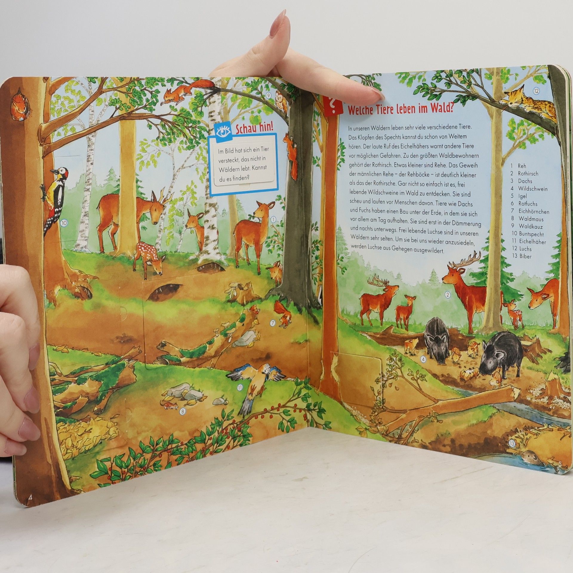 Autorenkollektiv Was ist was. Im Wald