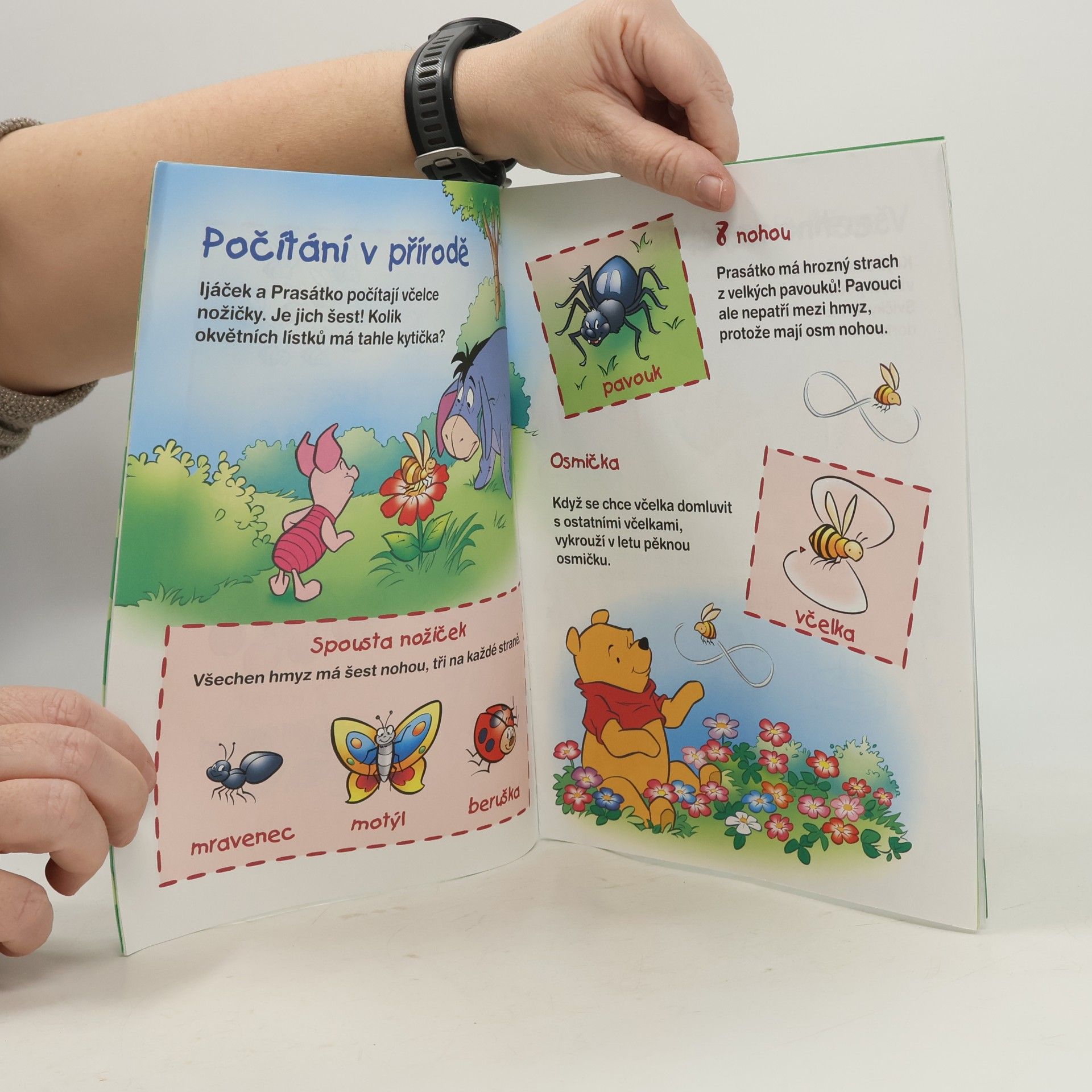 Ysenda Maxtone Graham Medvídek Pú. Počítej s Medvídkem Pú a jeho kamarády