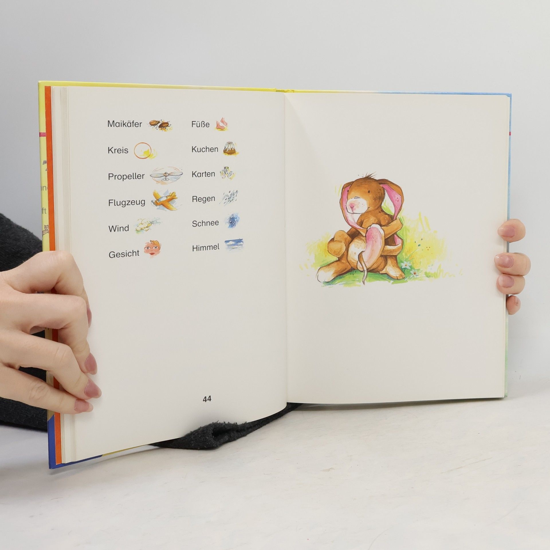 Christine Georg Das neue rabenstarke Lesebilderbuch