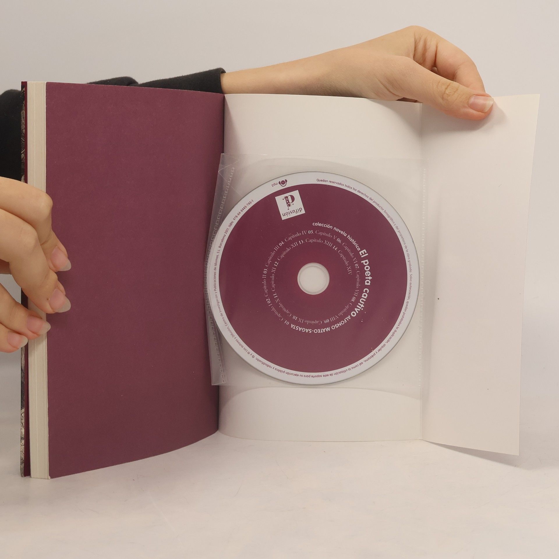 Alfonso Mateo-Sagasta Colección novela histórica: El poeta cautivo