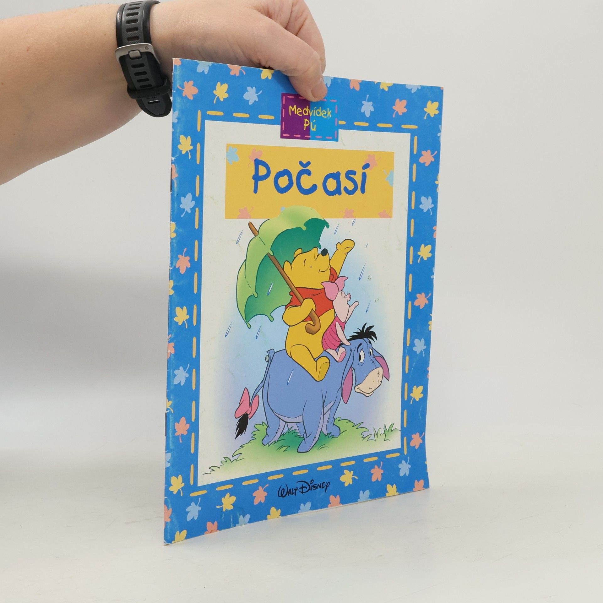 Medvídek Pú. Počasí
