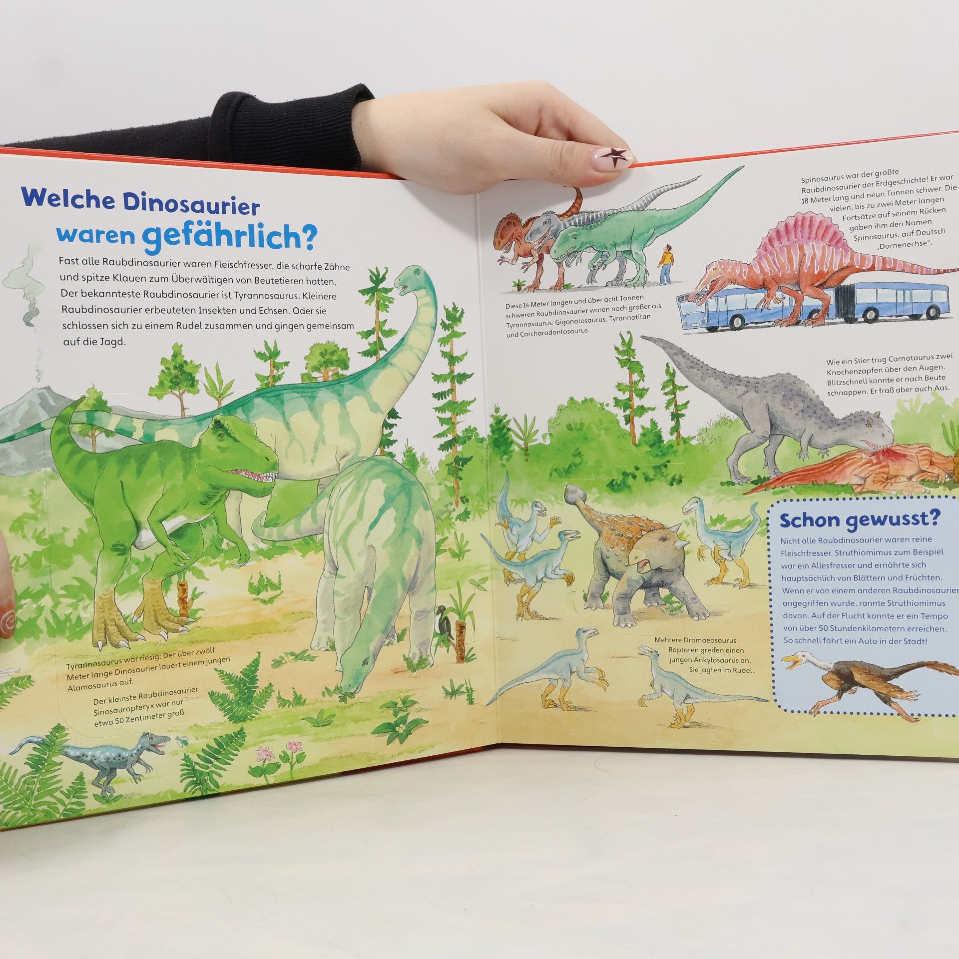Astrid Vohwinkel Dinosaurier