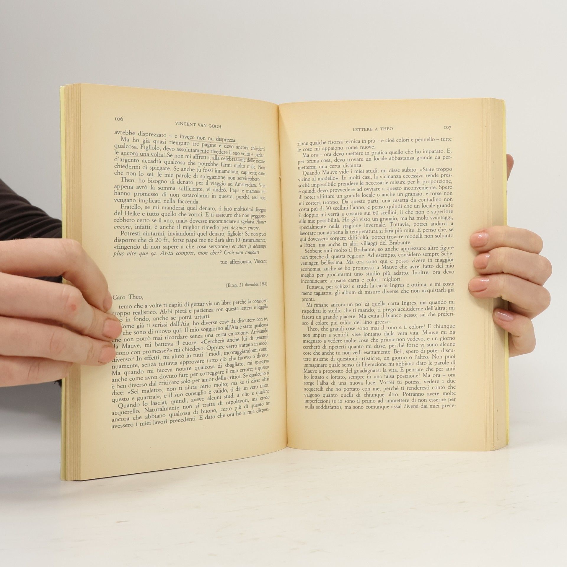 Vincent van Gogh Lettere a Theo