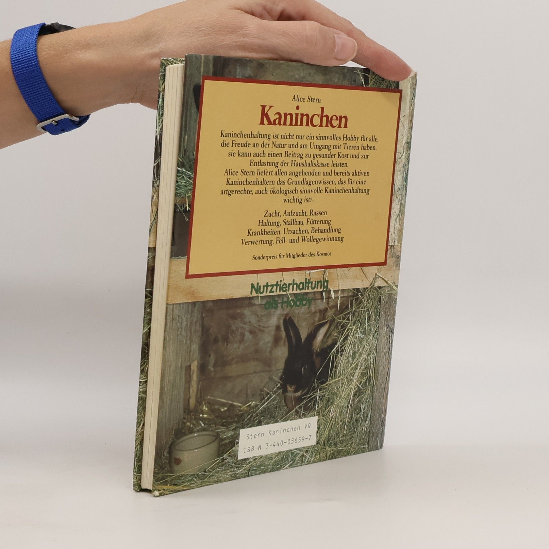Alice Stern-Les Landes Kaninchen