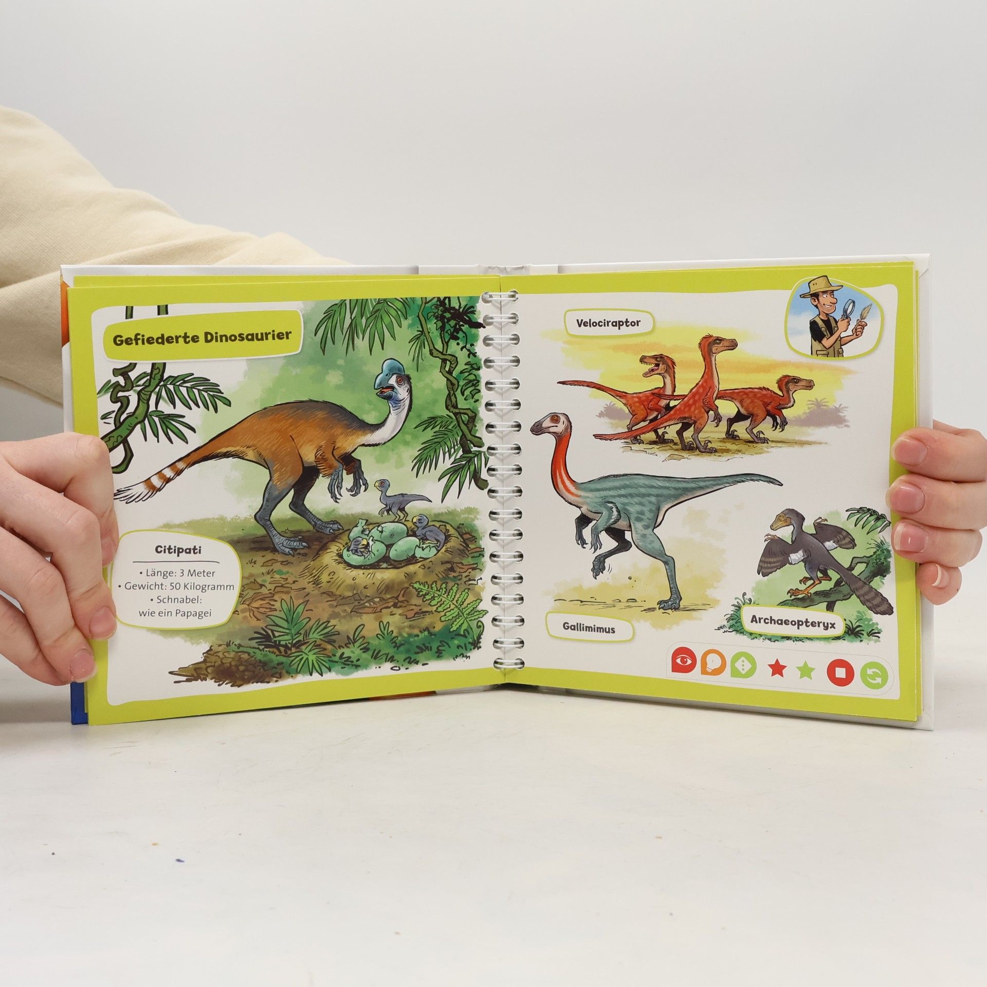 Autorenkollektiv Pocket Wissen. Dinosaurier