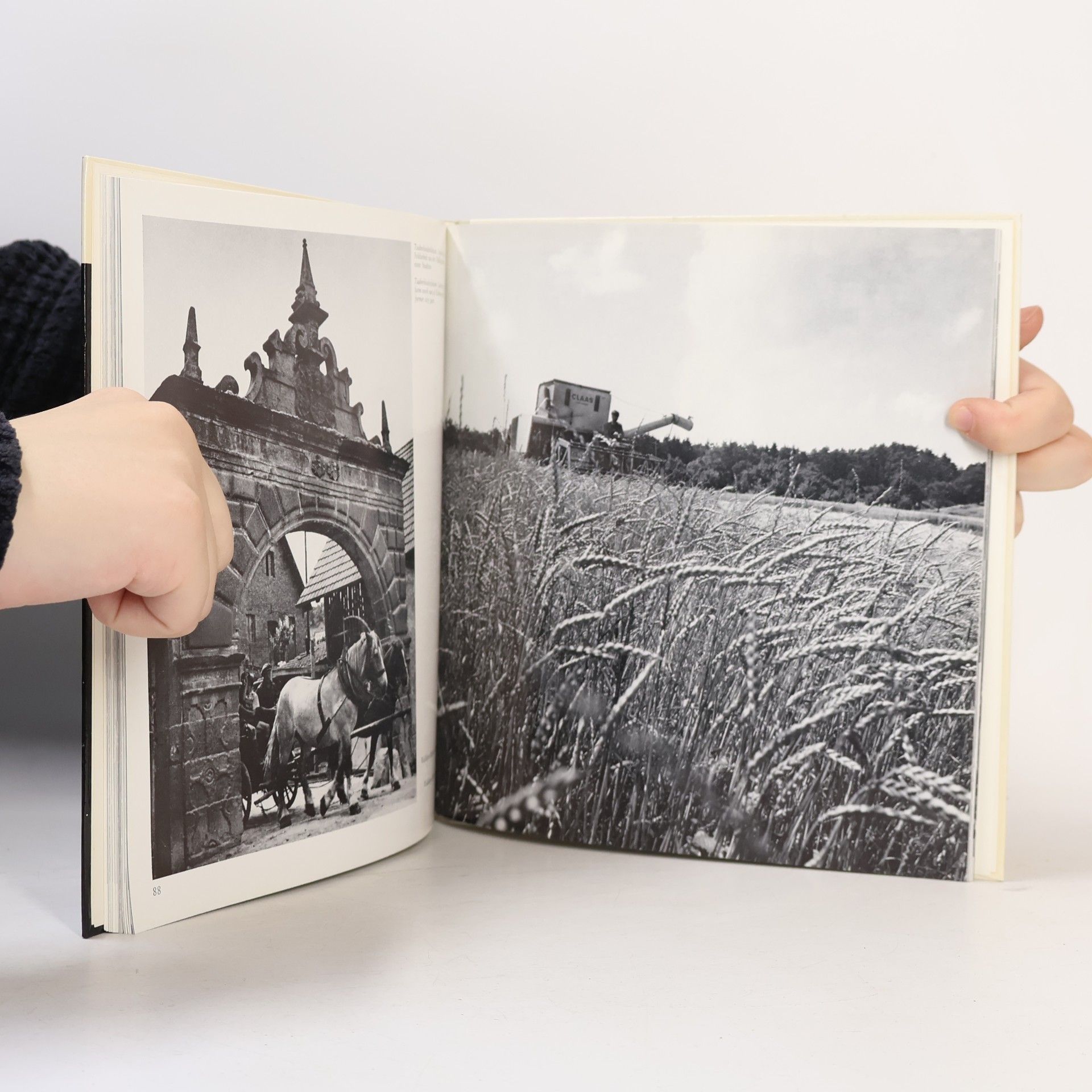Heinz Bischof Das Frankenland