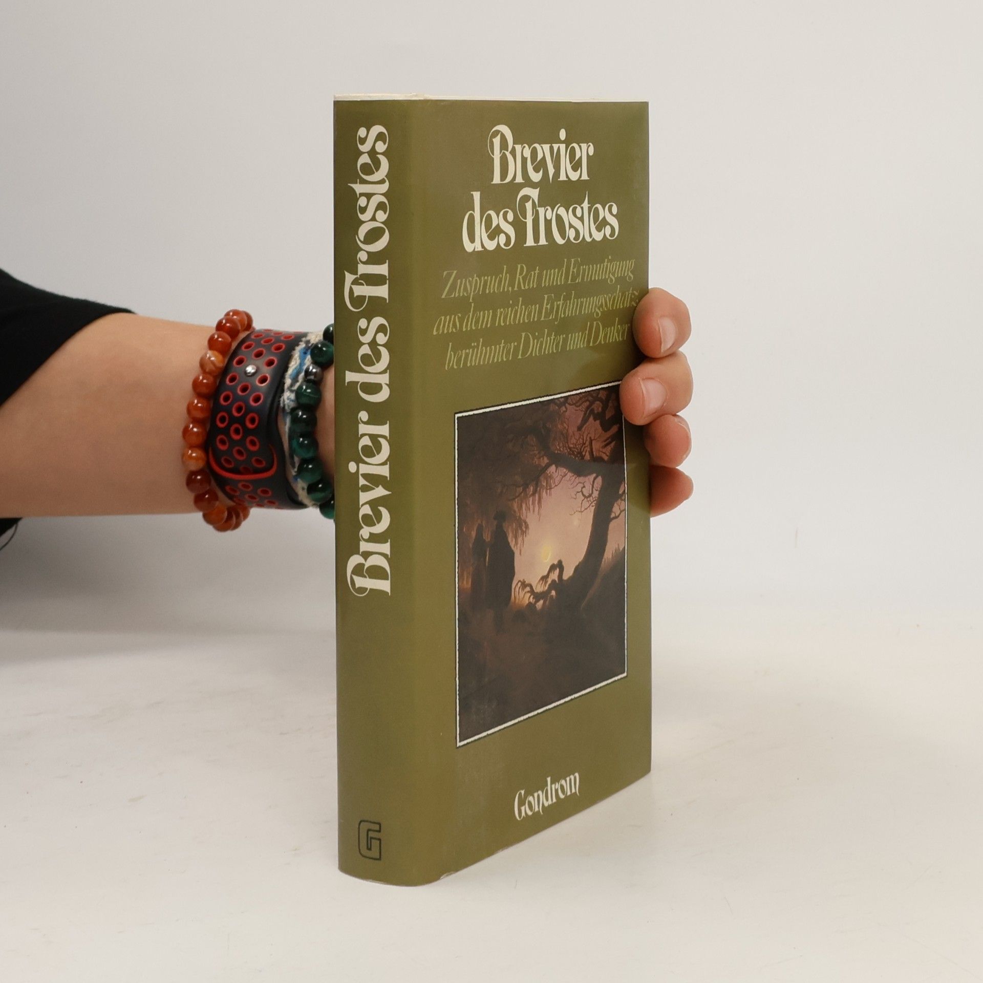 Brevier des Trostes