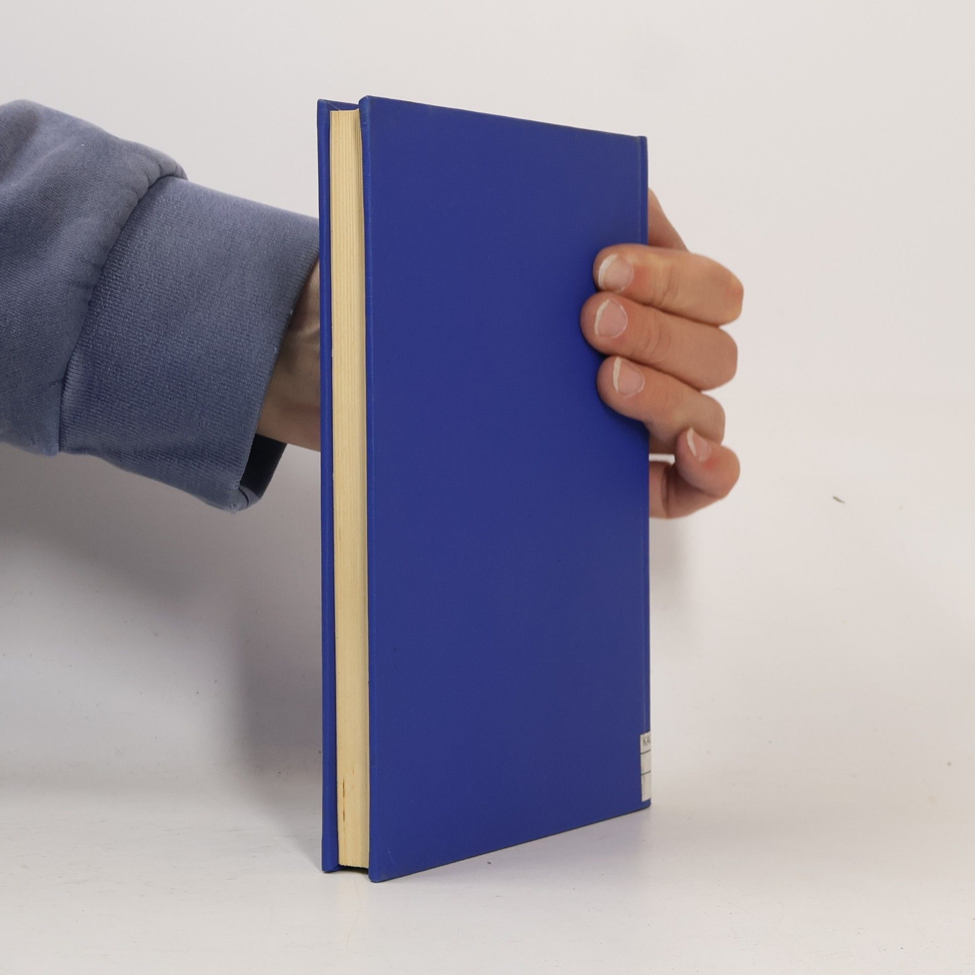 H. Schmidt Schalltechnisches Taschenbuch