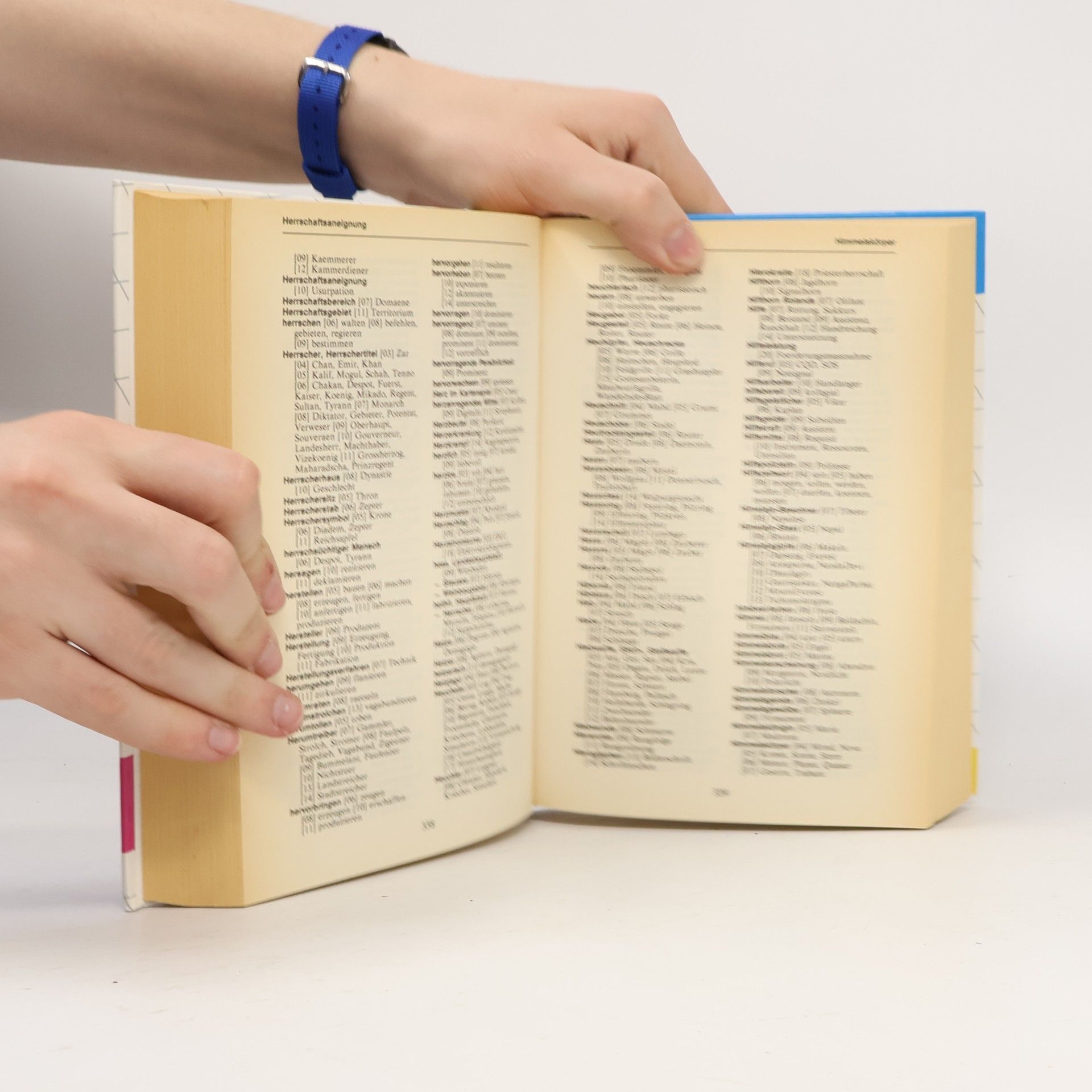 Various authors Grosses Kreuzworträtsel Lexikon