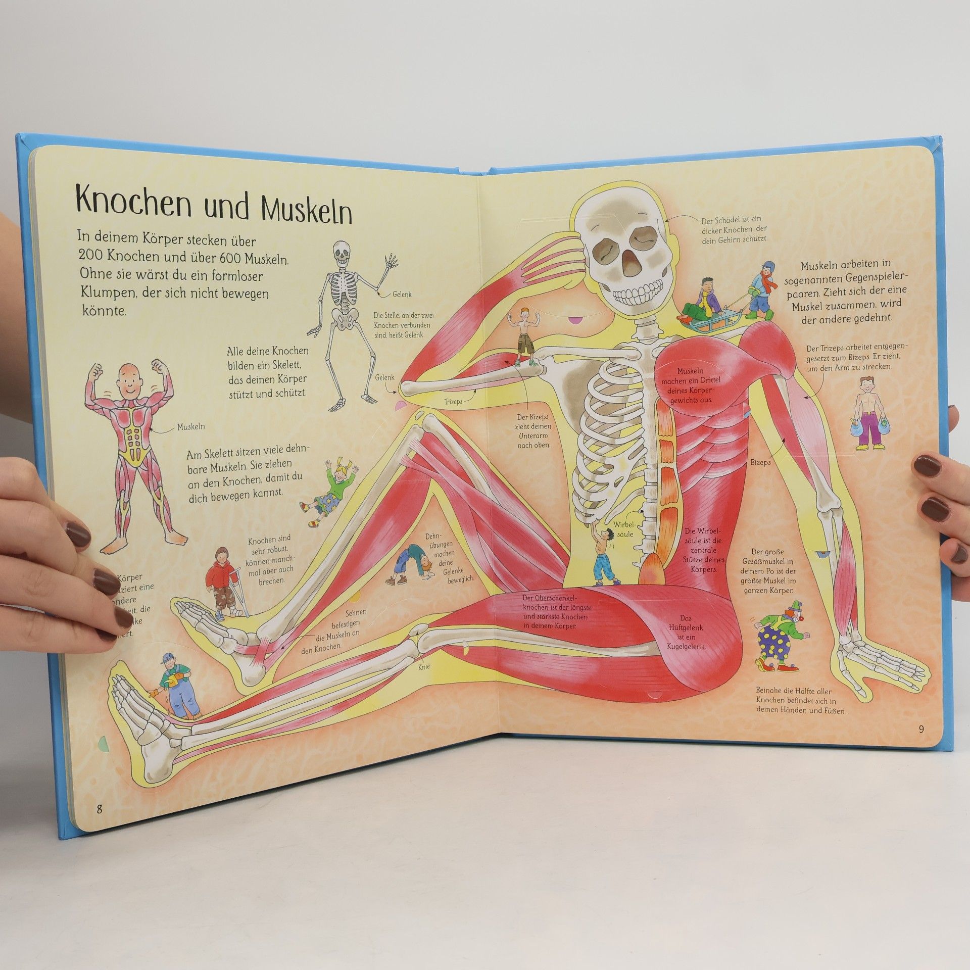 Katie Daynes Ich weiß mehr! Mein Körper