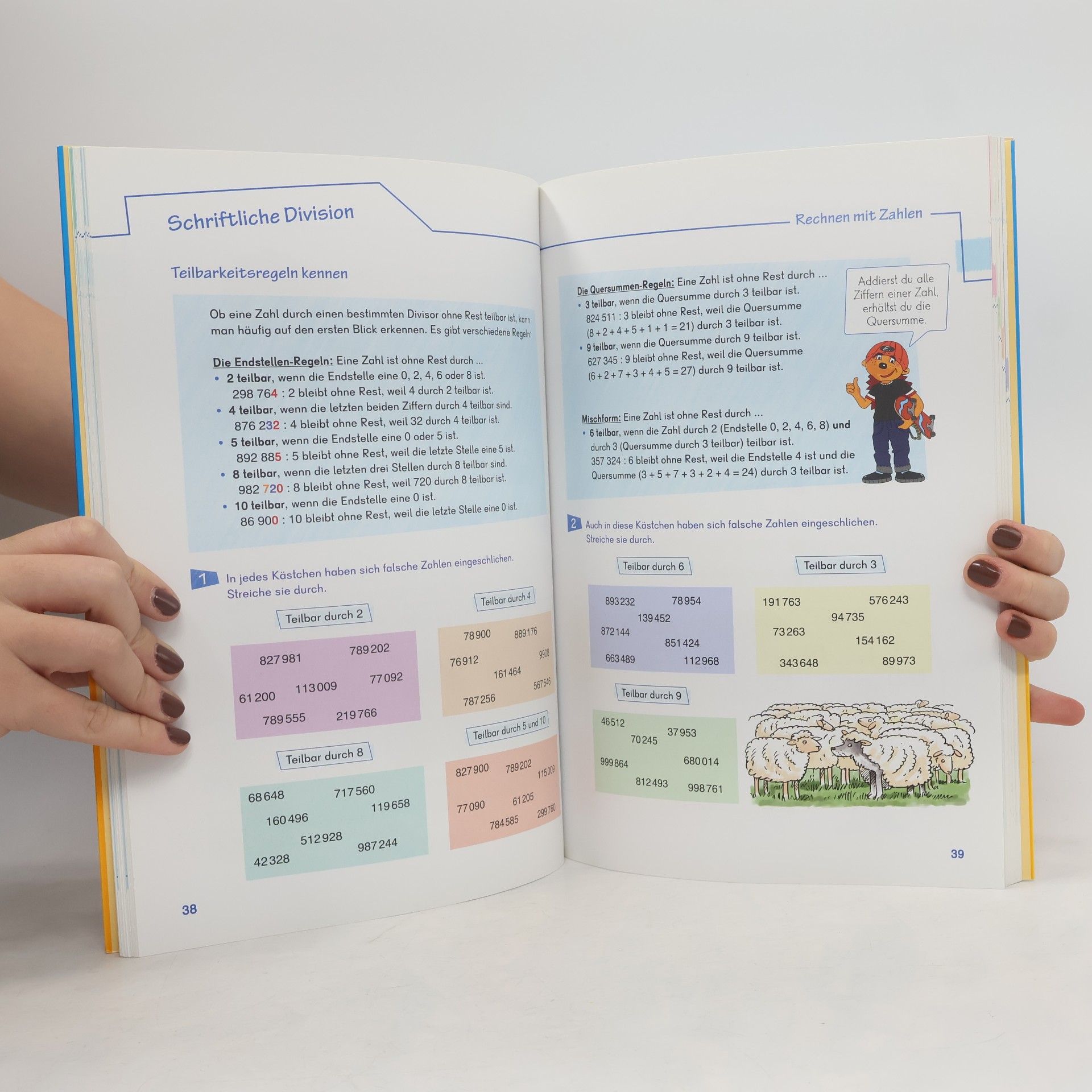 Evelyn Scherber Brockhaus Scolaris - 4. Klasse: Profi in Mathematik