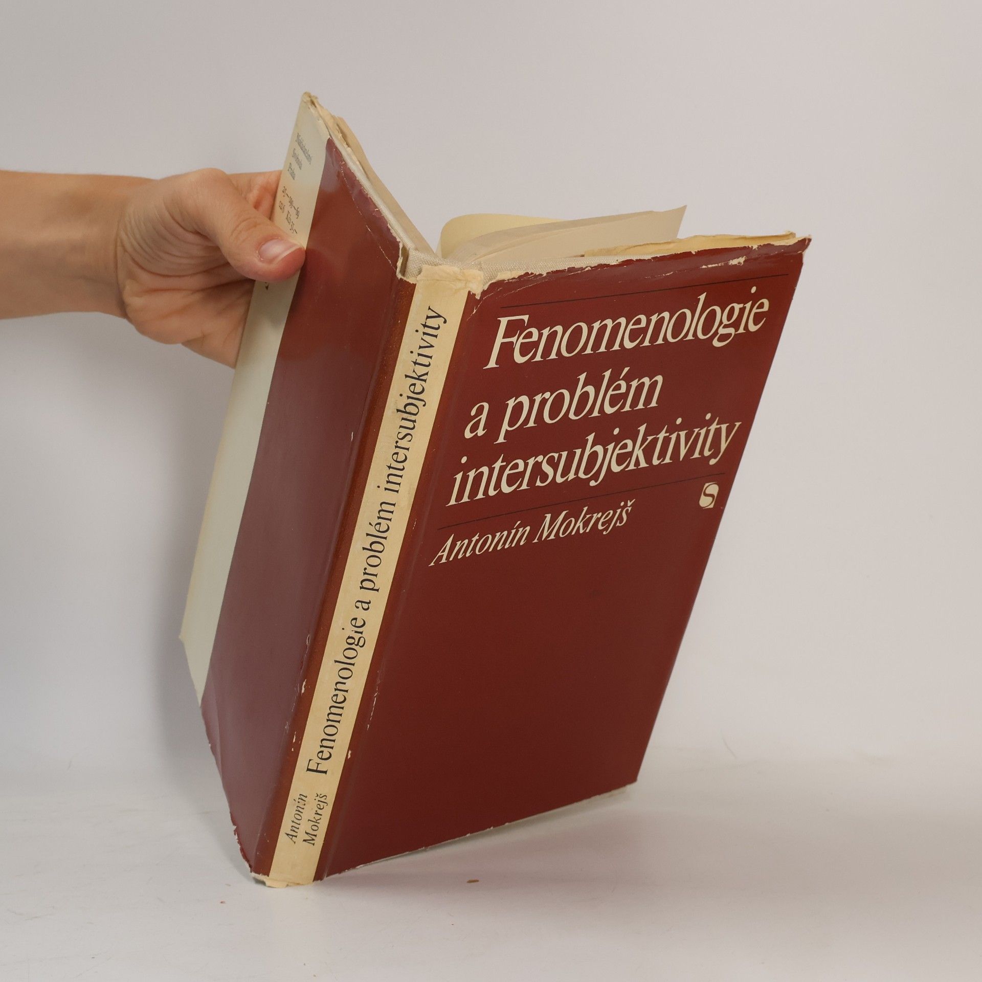 Antonín Mokrejš Fenomenologie a problém intersubjektivity