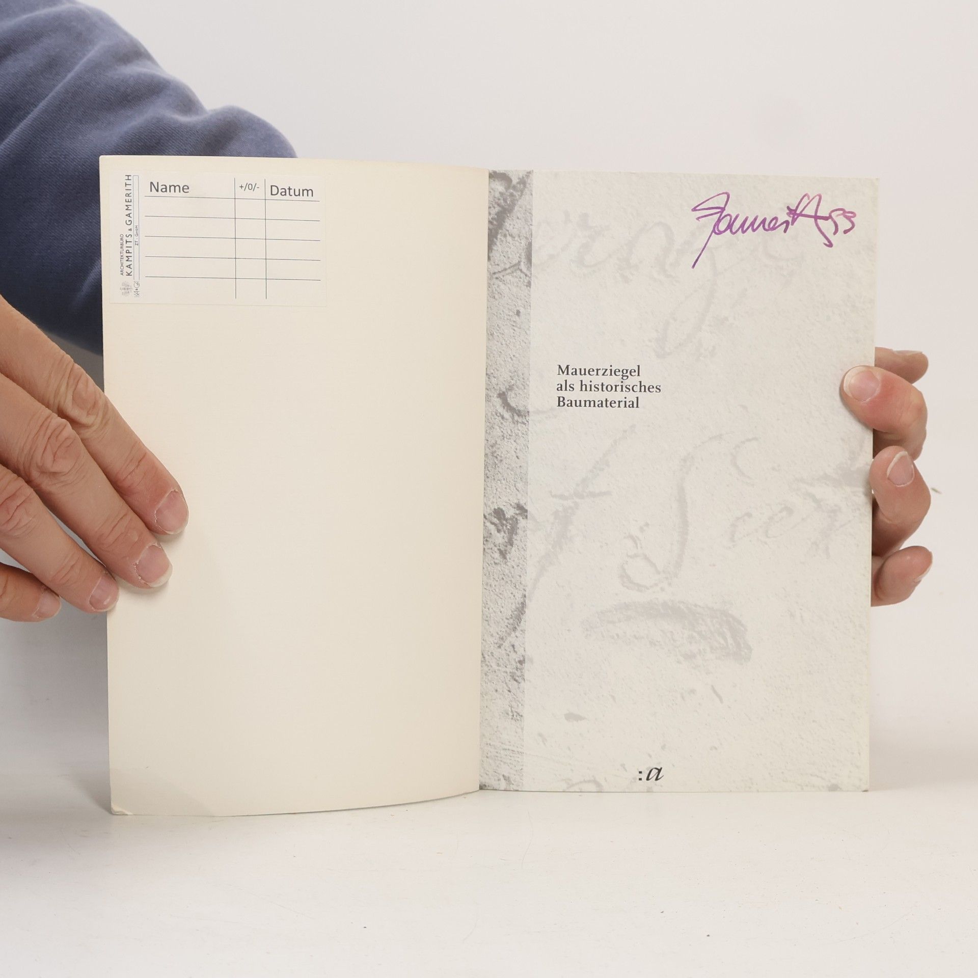Mila Schrader Mauerziegel als historisches Baumaterial