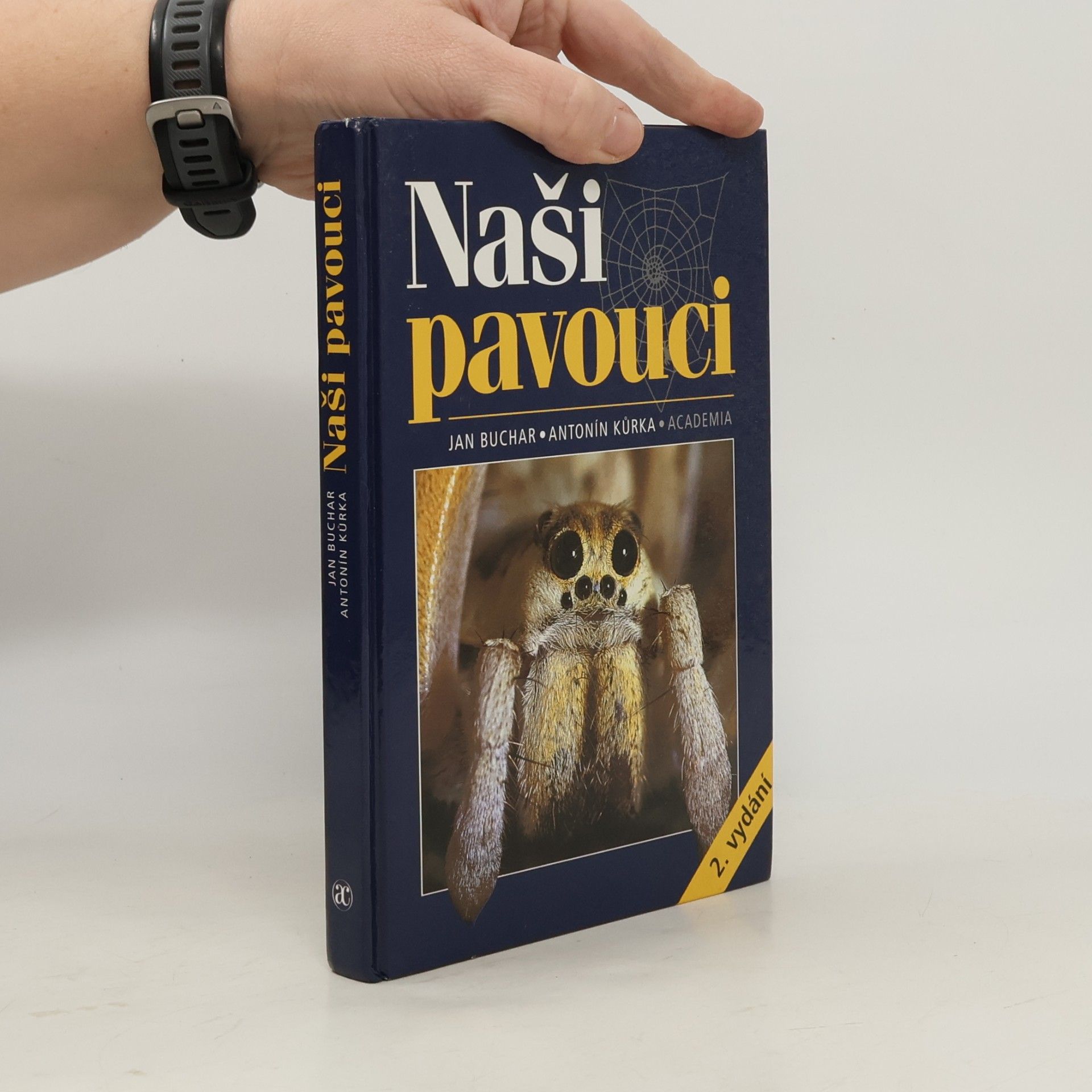 Naši pavouci