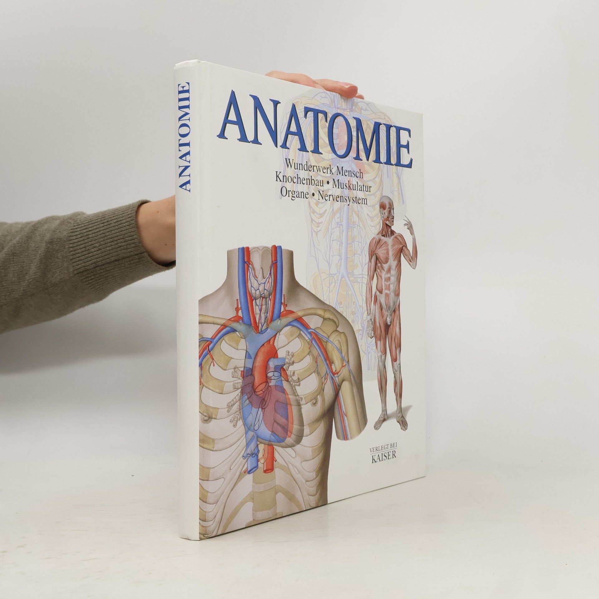 Anatomie
