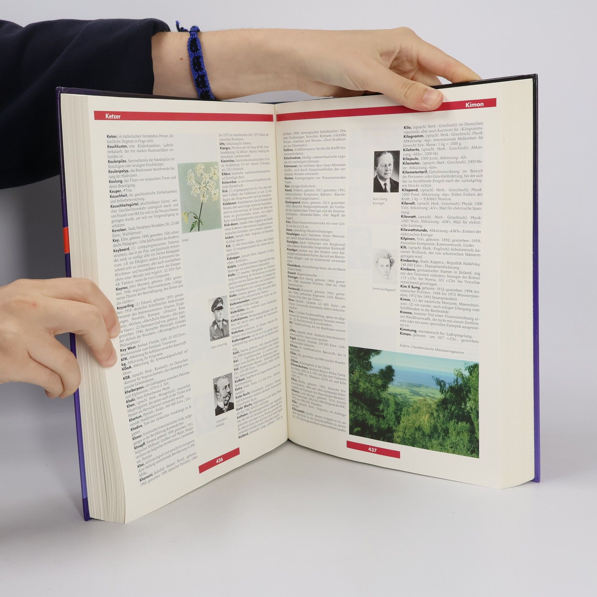 Autorenkollektiv Das Grosse Illustrierte Lexikon von A - Z