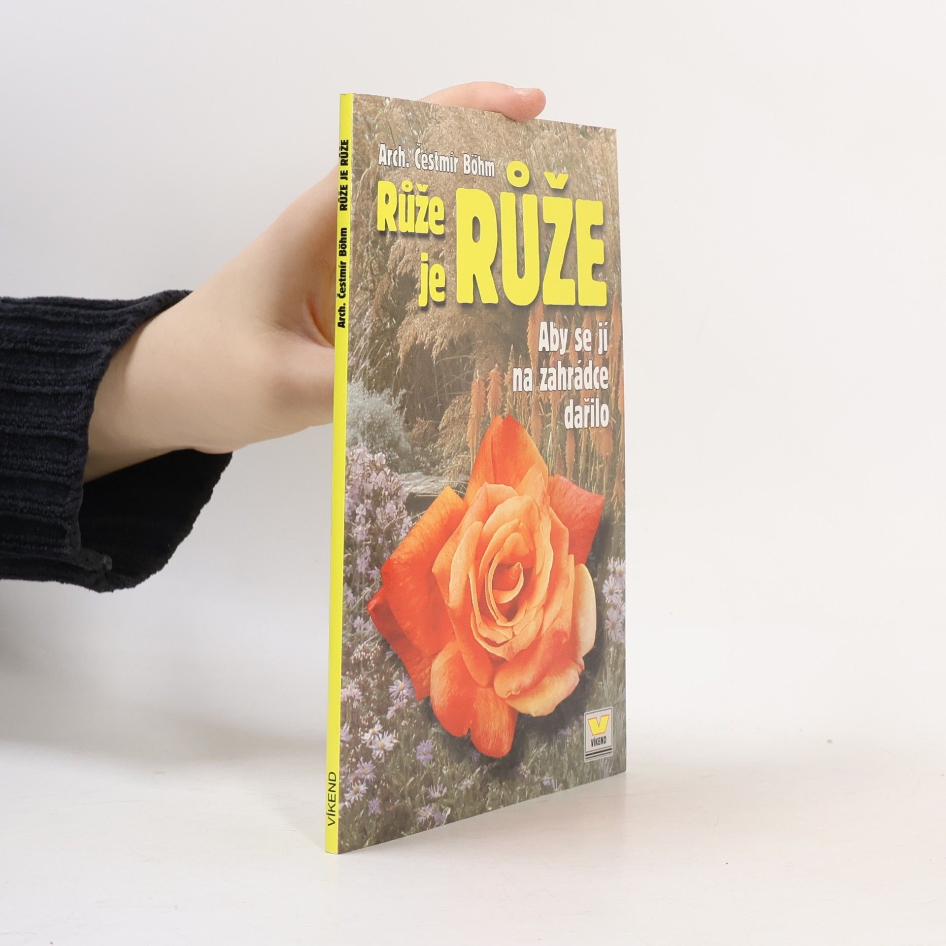 Růže je růže