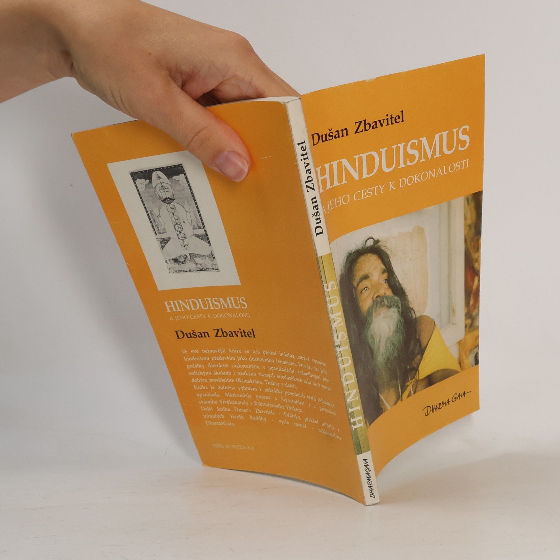 Dušan Zbavitel Hinduismus a jeho cesty k dokonalosti