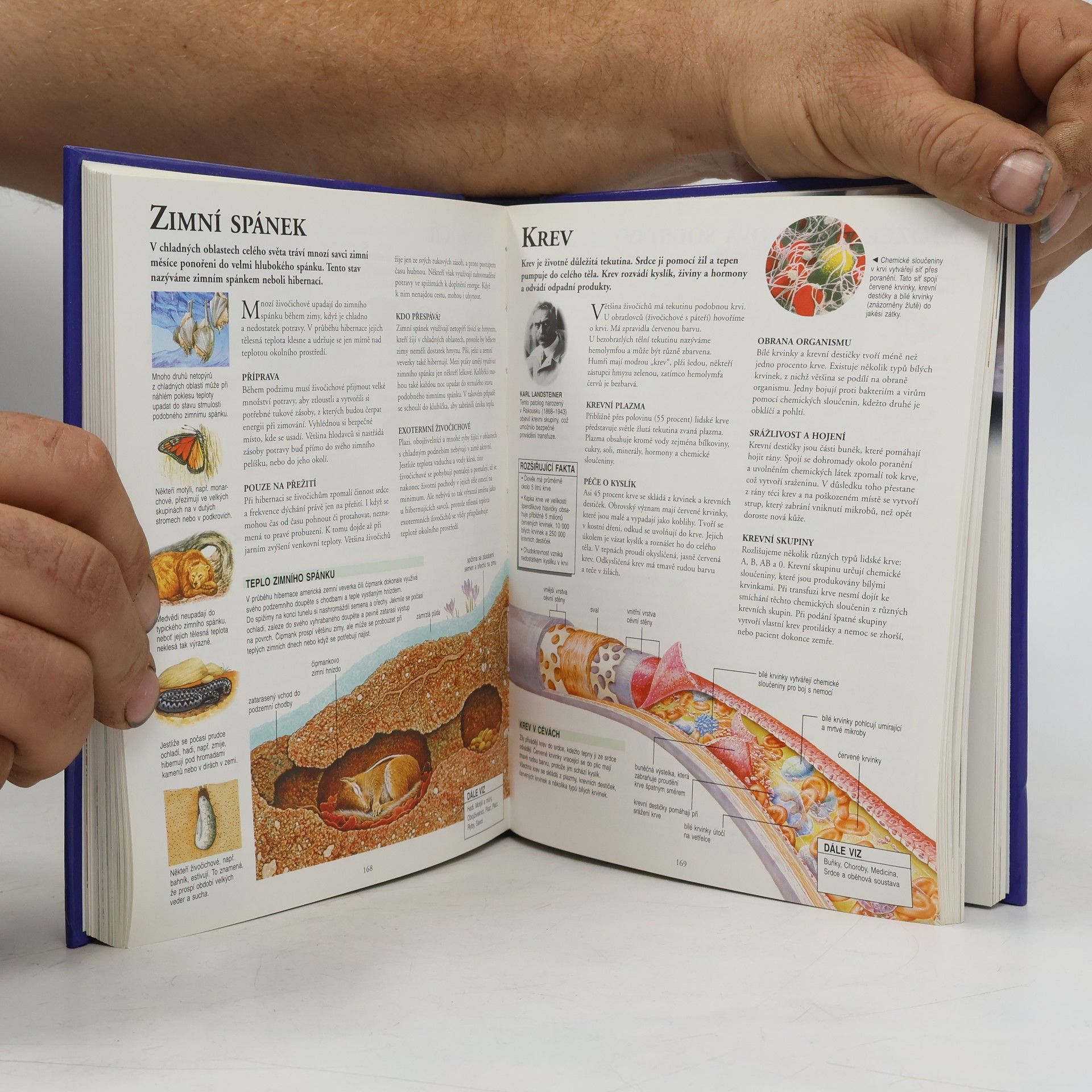Autores varios Malá všeobecná školní encyklopedie