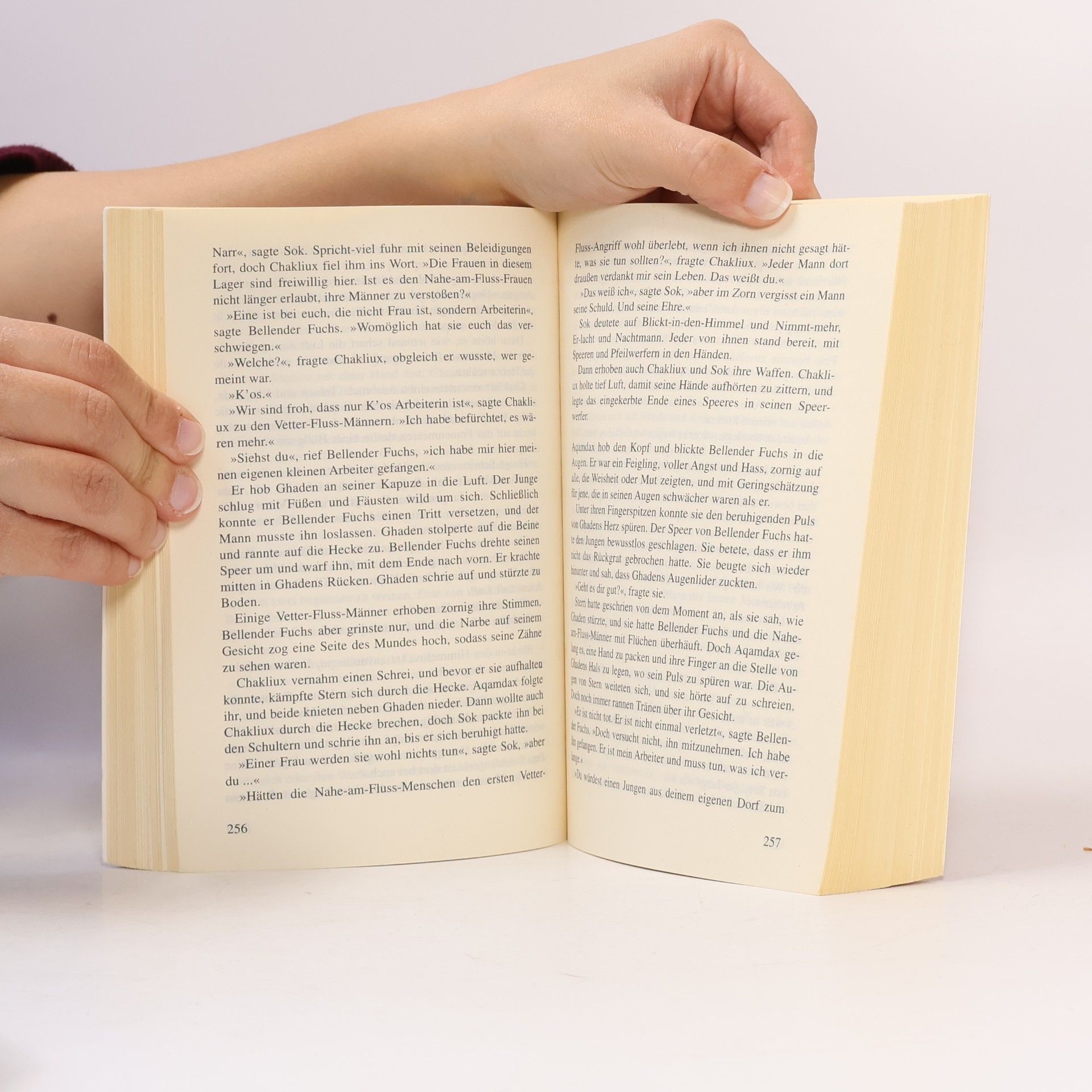 Sue Harrison Der Schrei des Windes