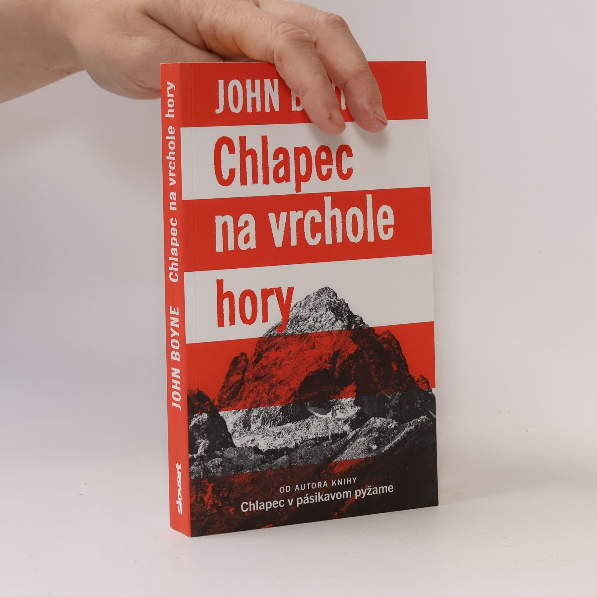 Chlapec na vrchole hory