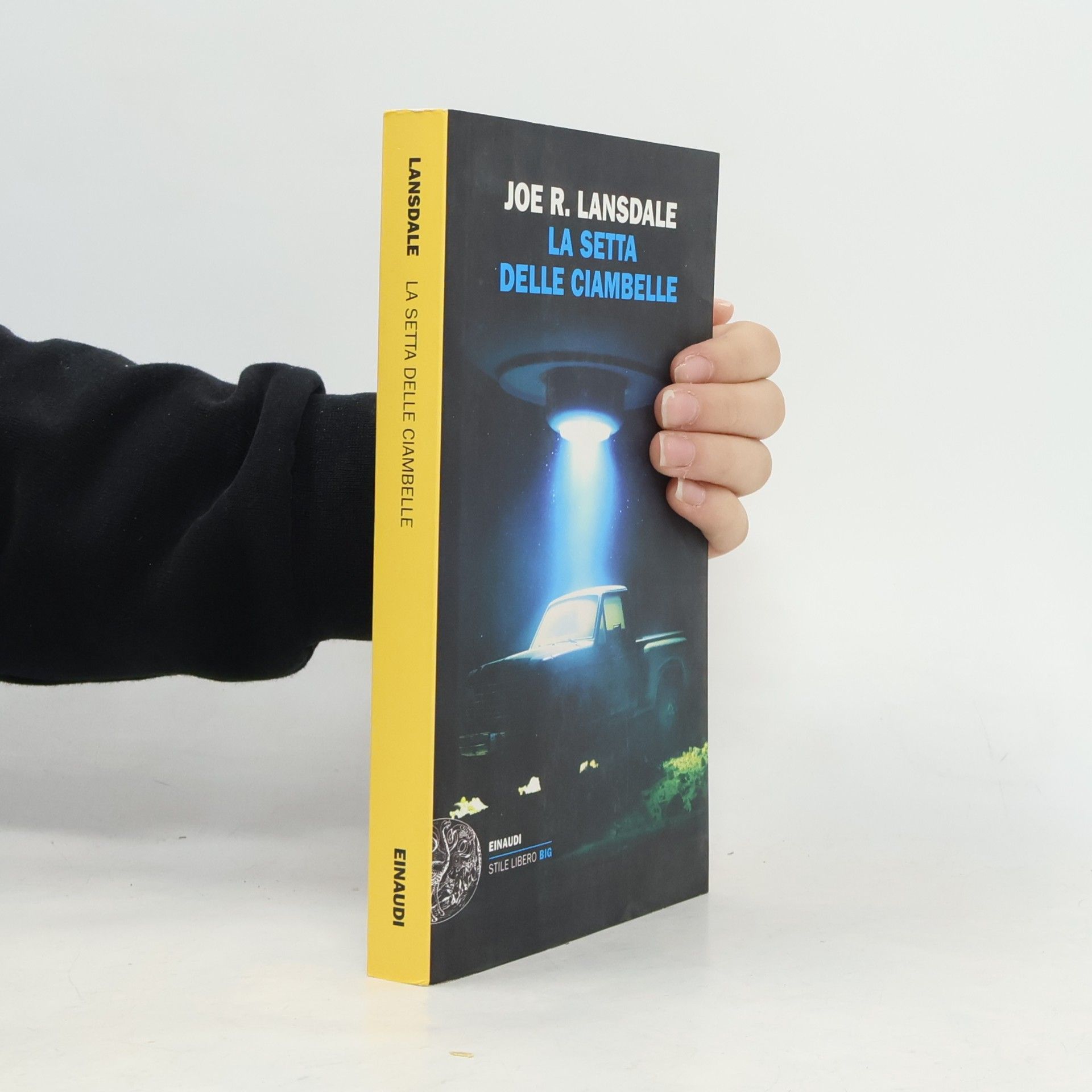Luca Briasco La setta delle ciambelle