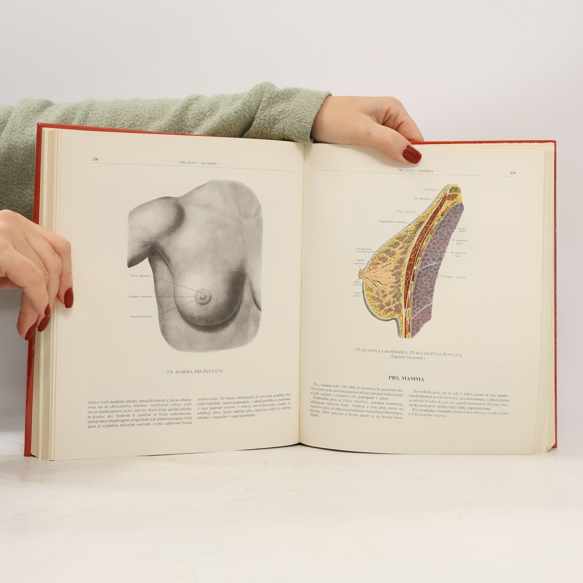 R. D. Sinělnikov Atlas anatomie člověka, II. díl, Nauka o vnitřních orgánech a cévách