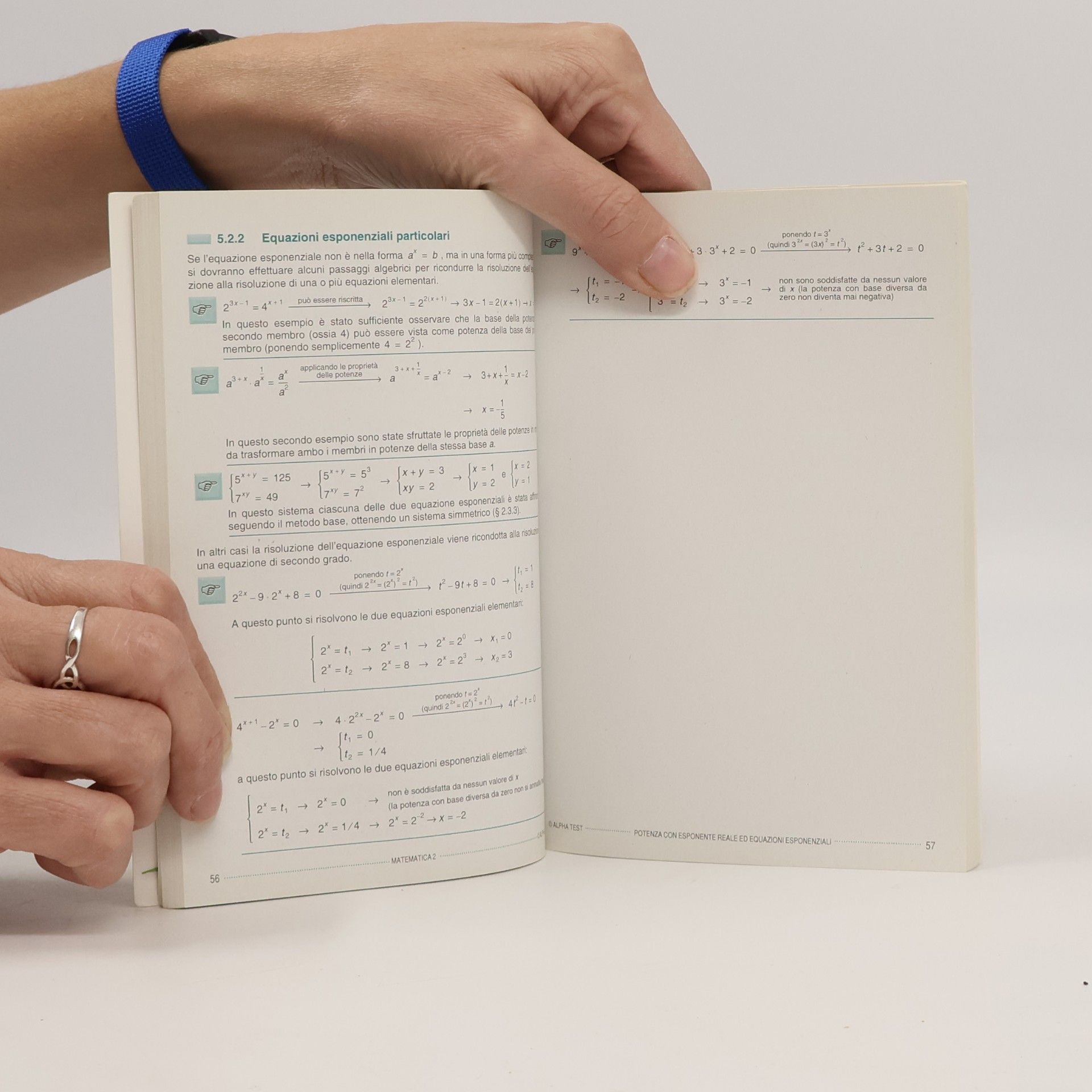 Stefano Bertocchi Gli Spilli - 2: Matematica