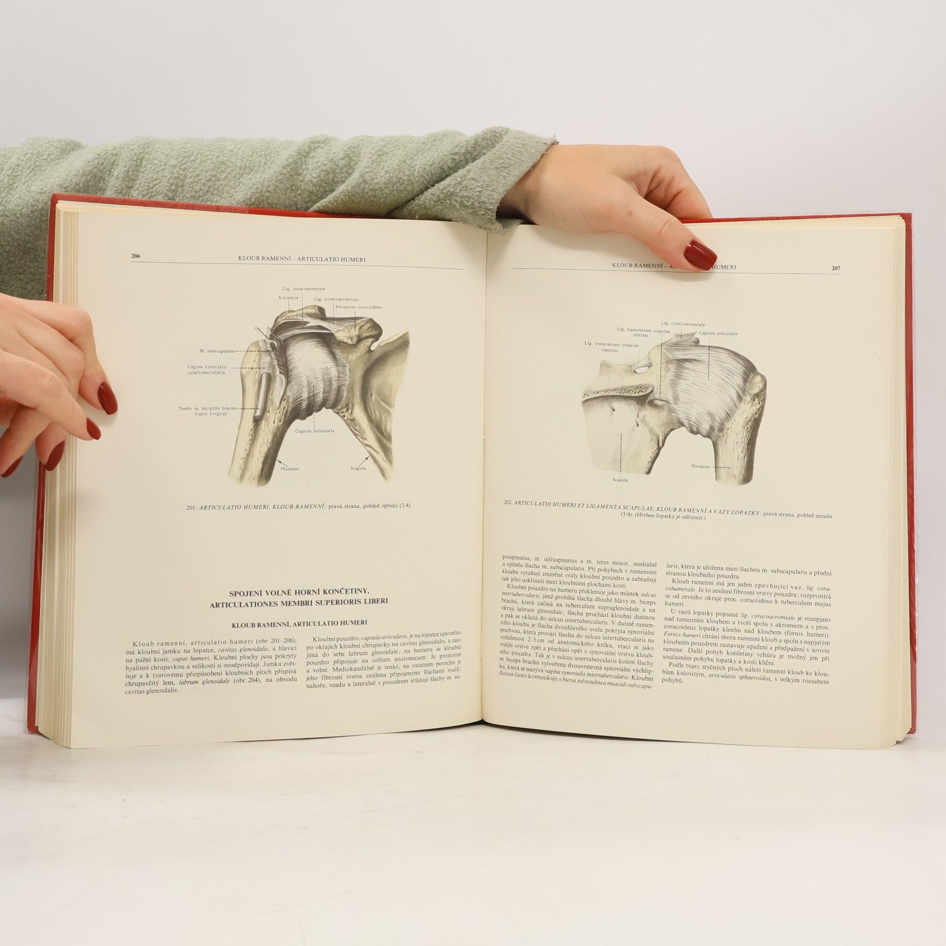 R. D. Sinělnikov Atlas anatomie člověka I.