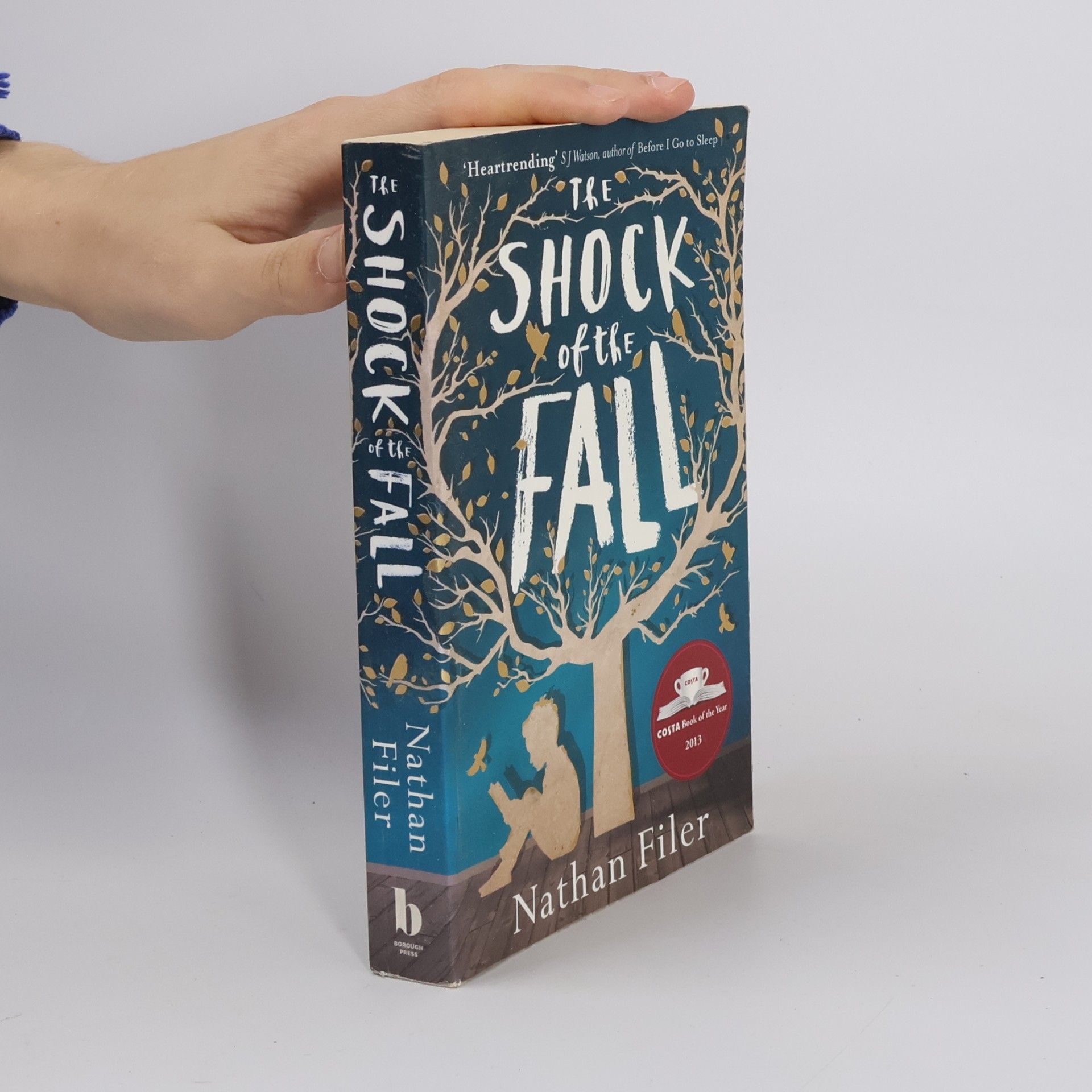 The shock of the fall