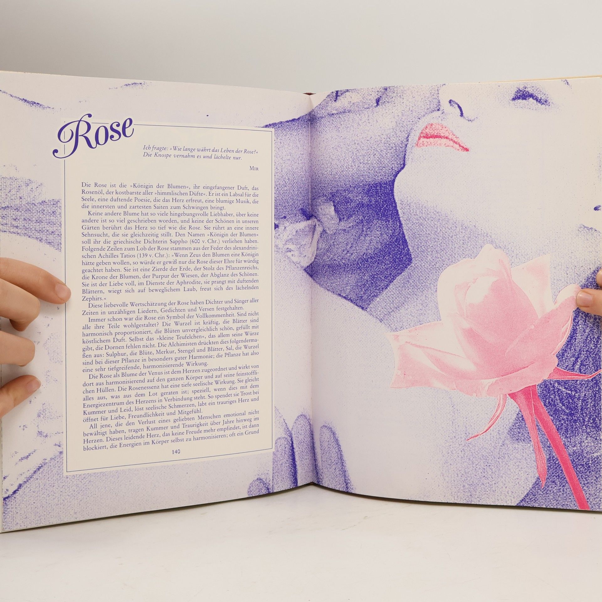 Susanne Fischer-Rizzi Handbuch der Aroma-Therapie