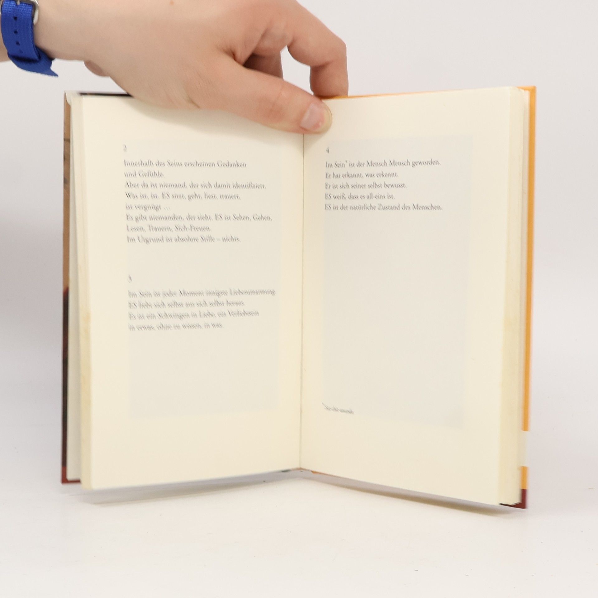 Annette Kaiser Manifest der Liebe