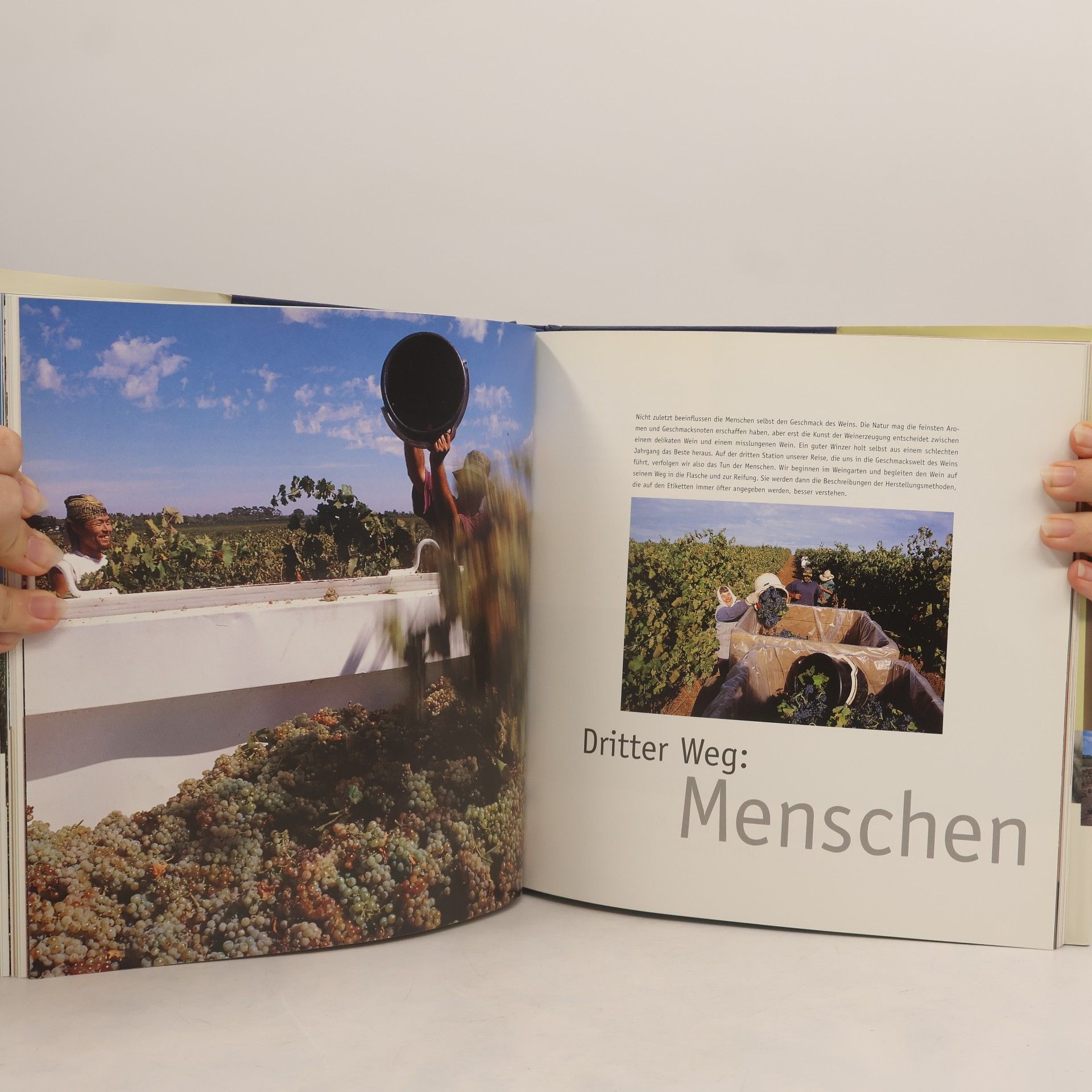 Andrew Jefford Wege zum Wein