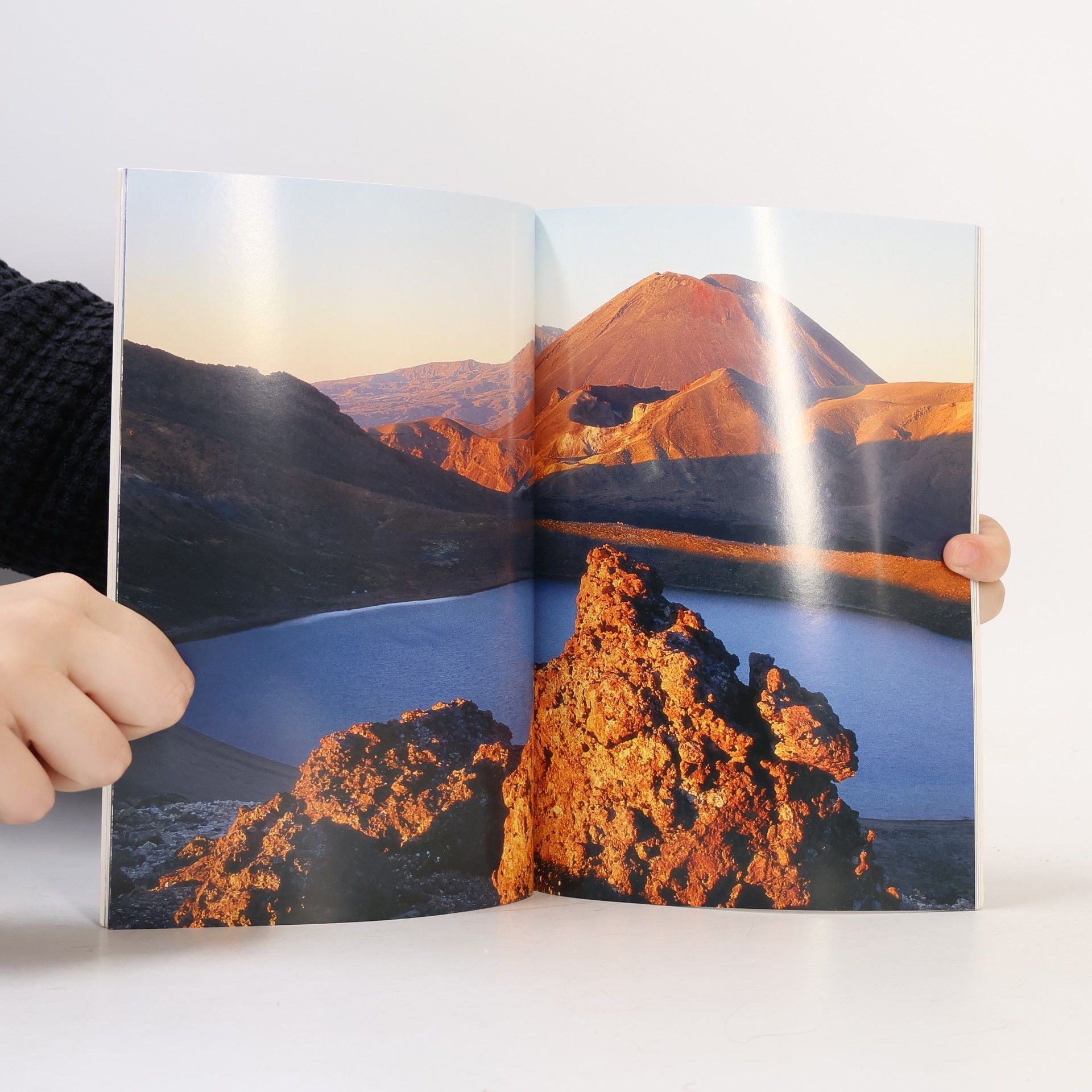 Debashish Chowdhury Volcanic Heartland