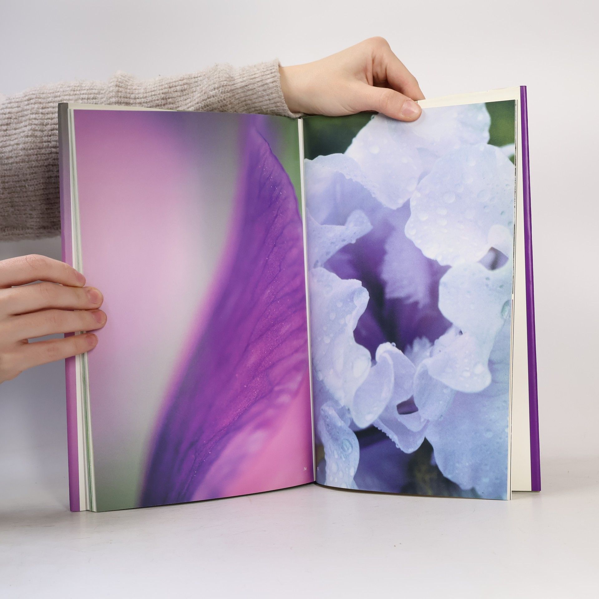 Christina Kiehs Glos Iris