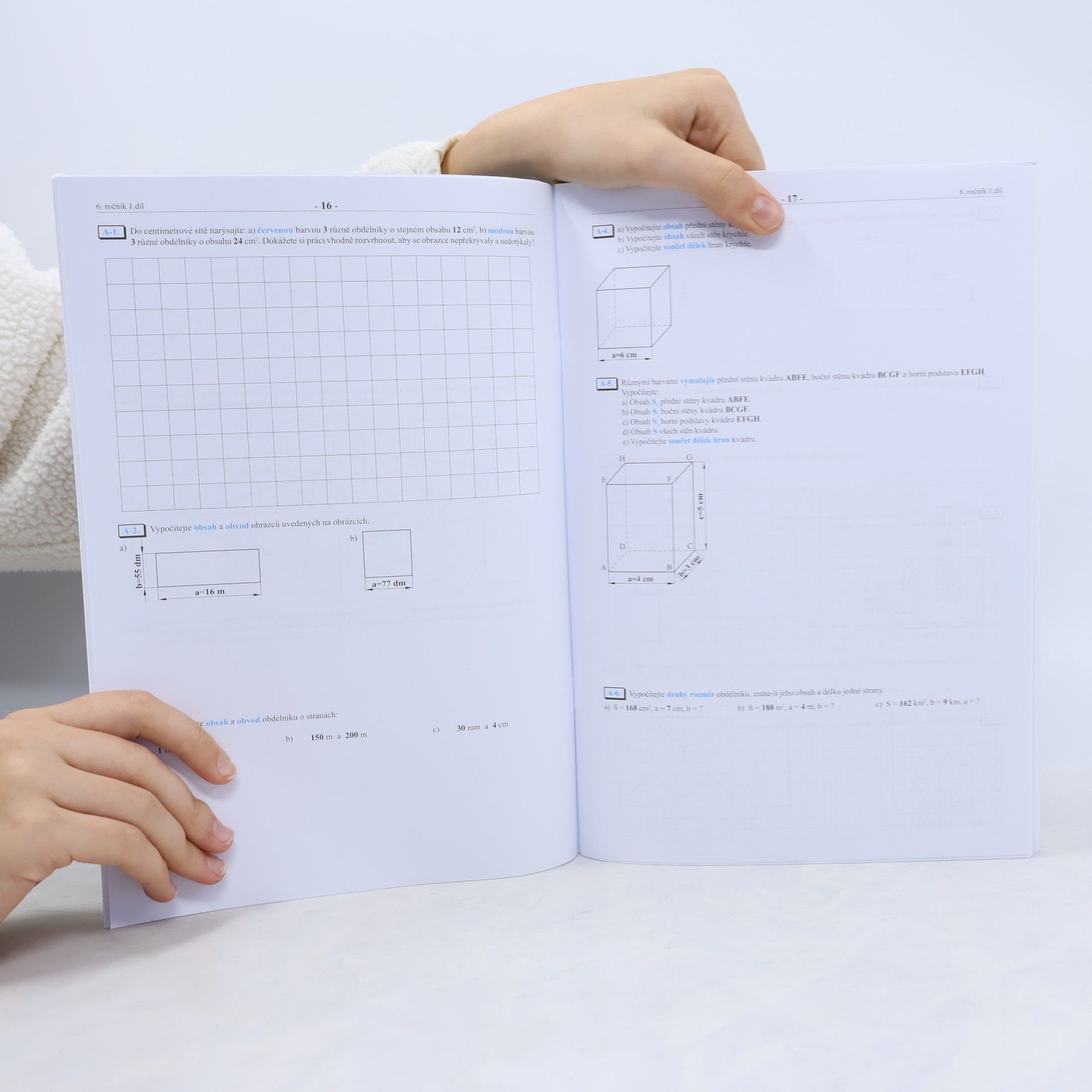 Kolektiv autorů Matematika