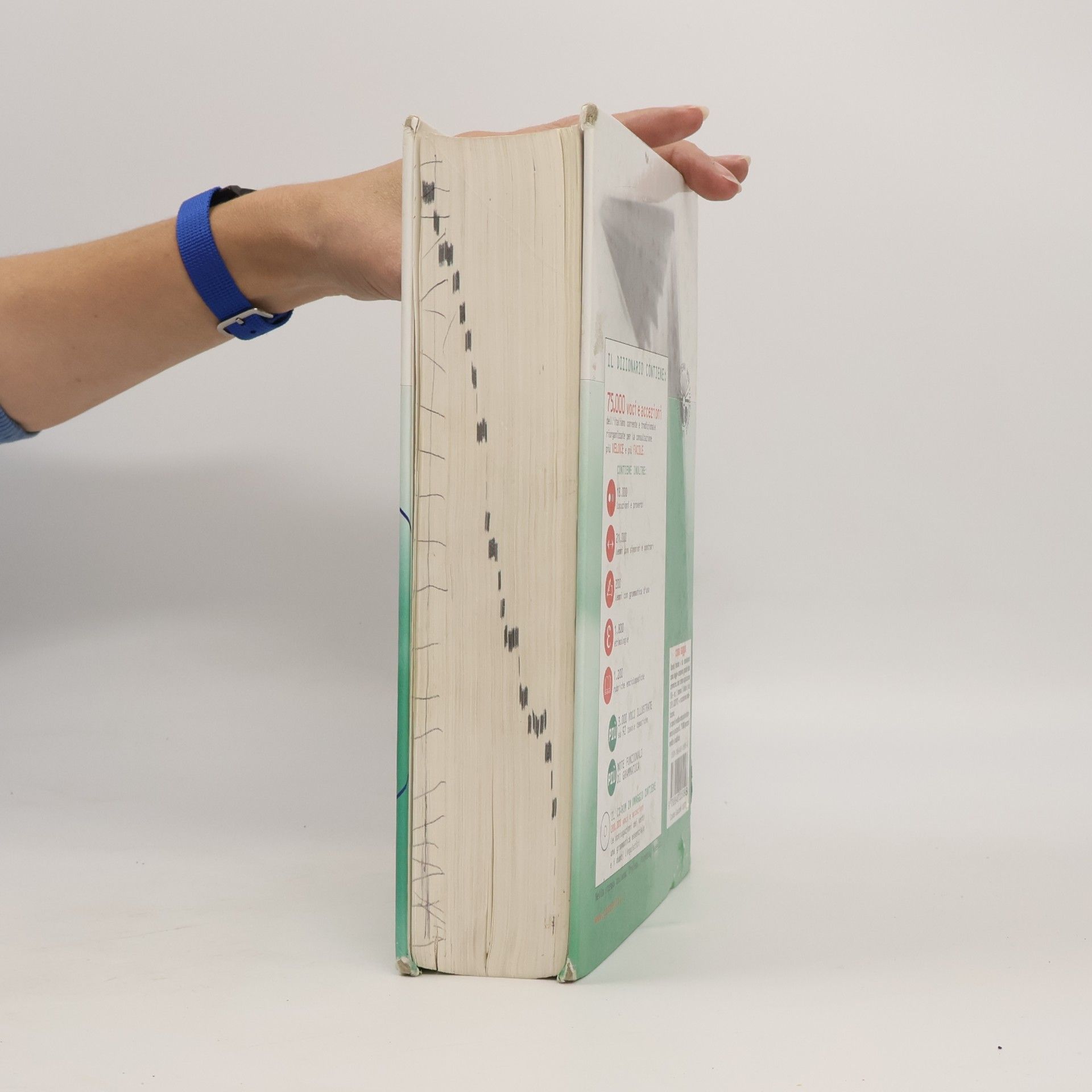 Autorenkollektiv Dizionario Moderno Italiano