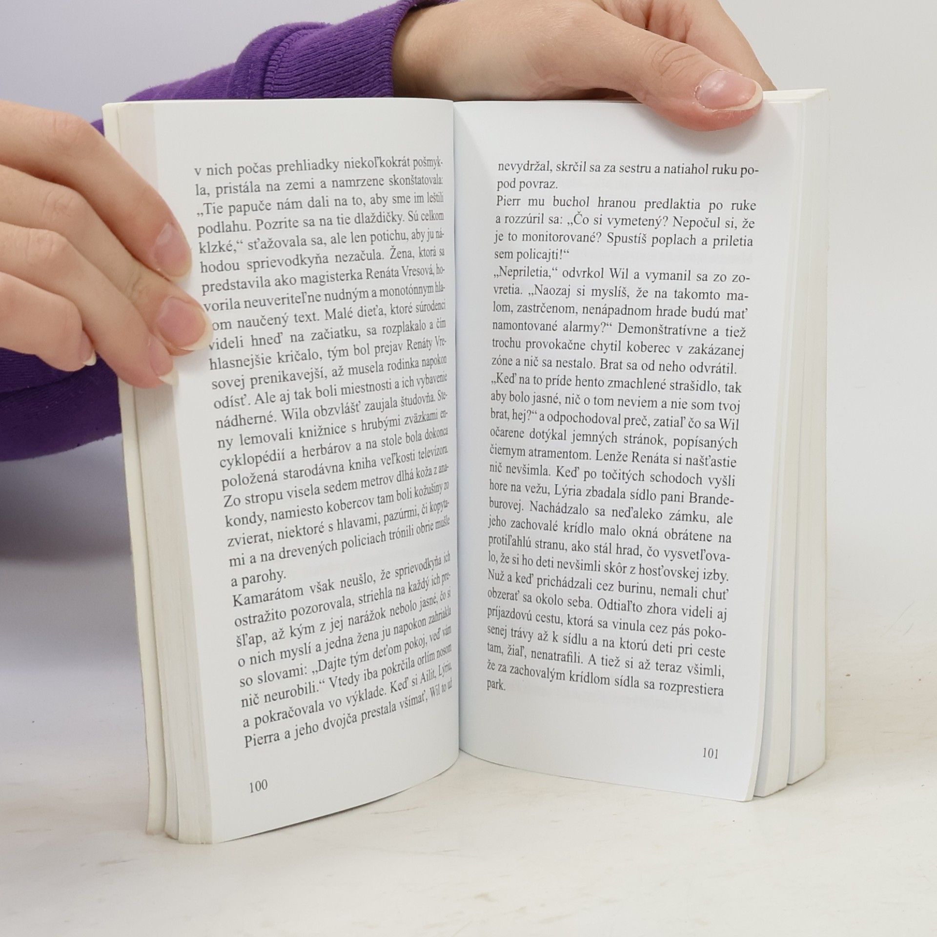 Stela Brix Nástrahy panského sídla