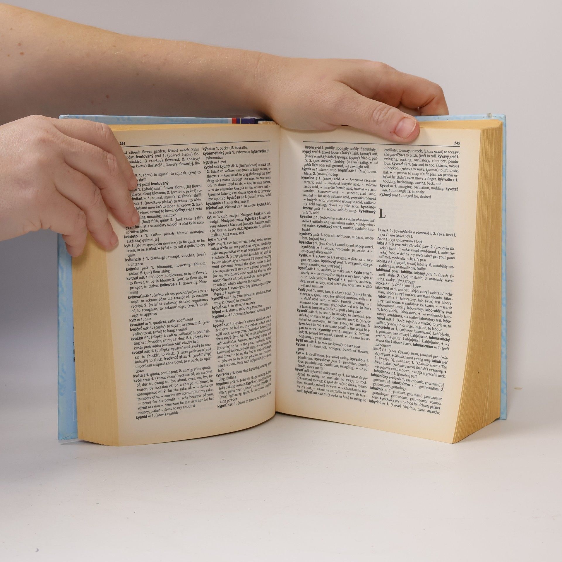 Aliberto Caforio Slovensko-anglický slovník = Slovak english dictionary
