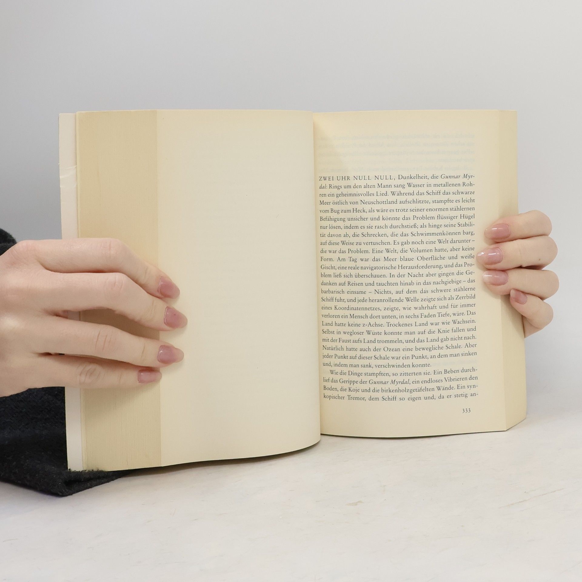 Jonathan Franzen Die Korrekturen : Roman
