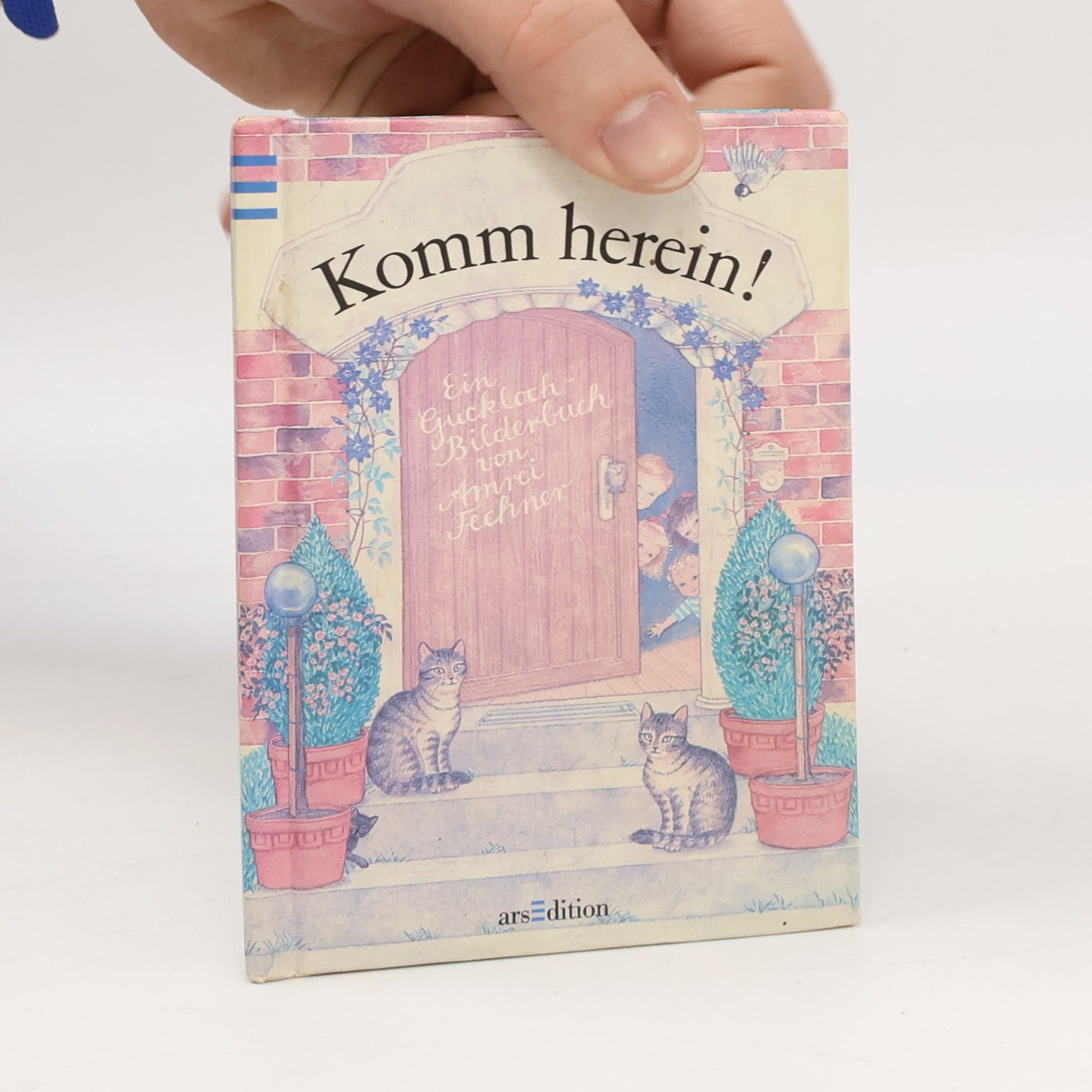 Annel Fechner Komm herein!: Gucklochbilderbuch. Mini-Bilderbücher