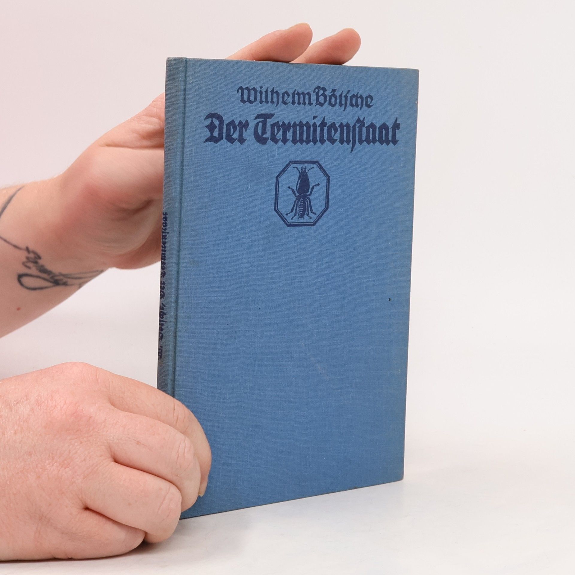 Der Termitenstaat Echilderung eines geheimnisvollen Volkes