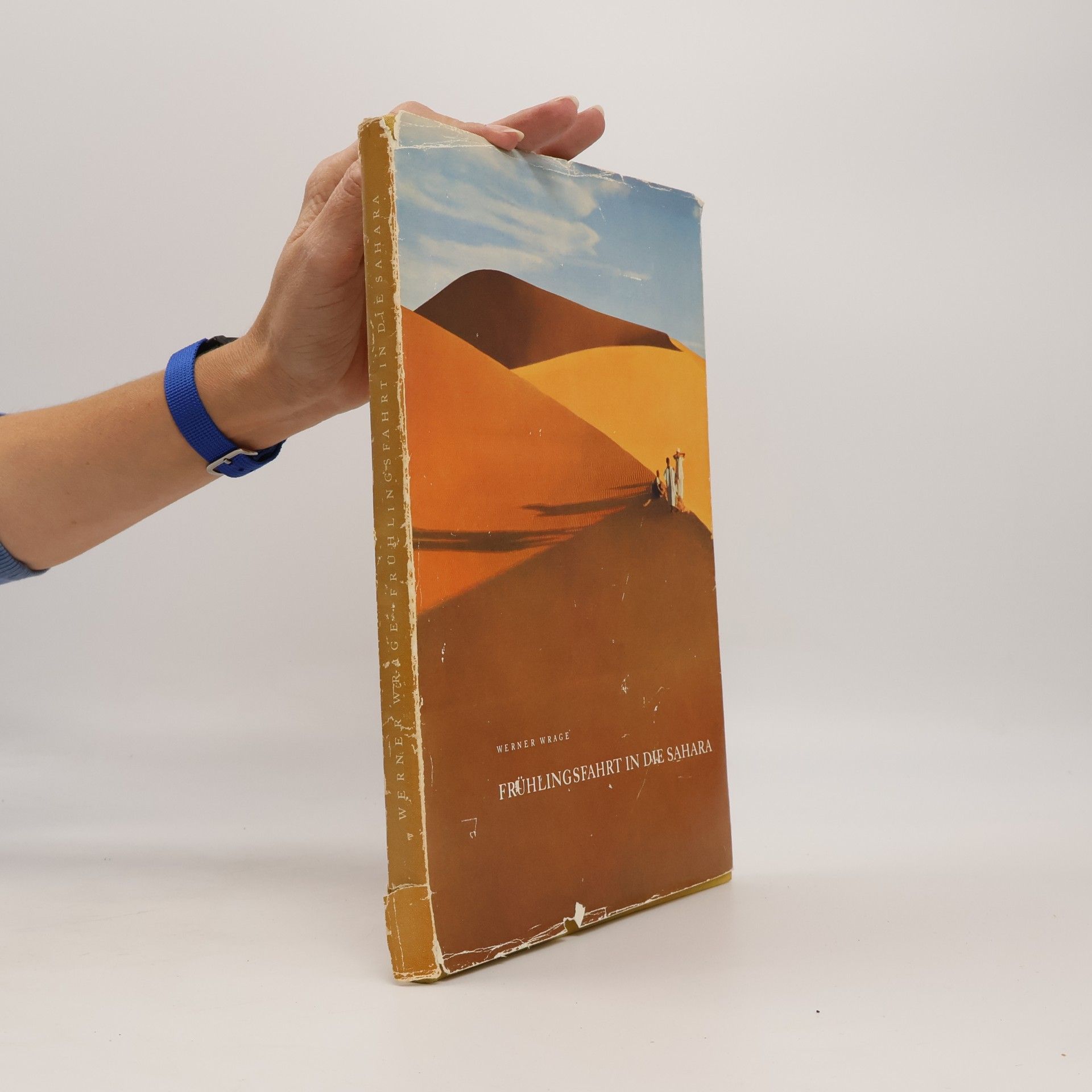 Frühlingsfahrt in die Sahara