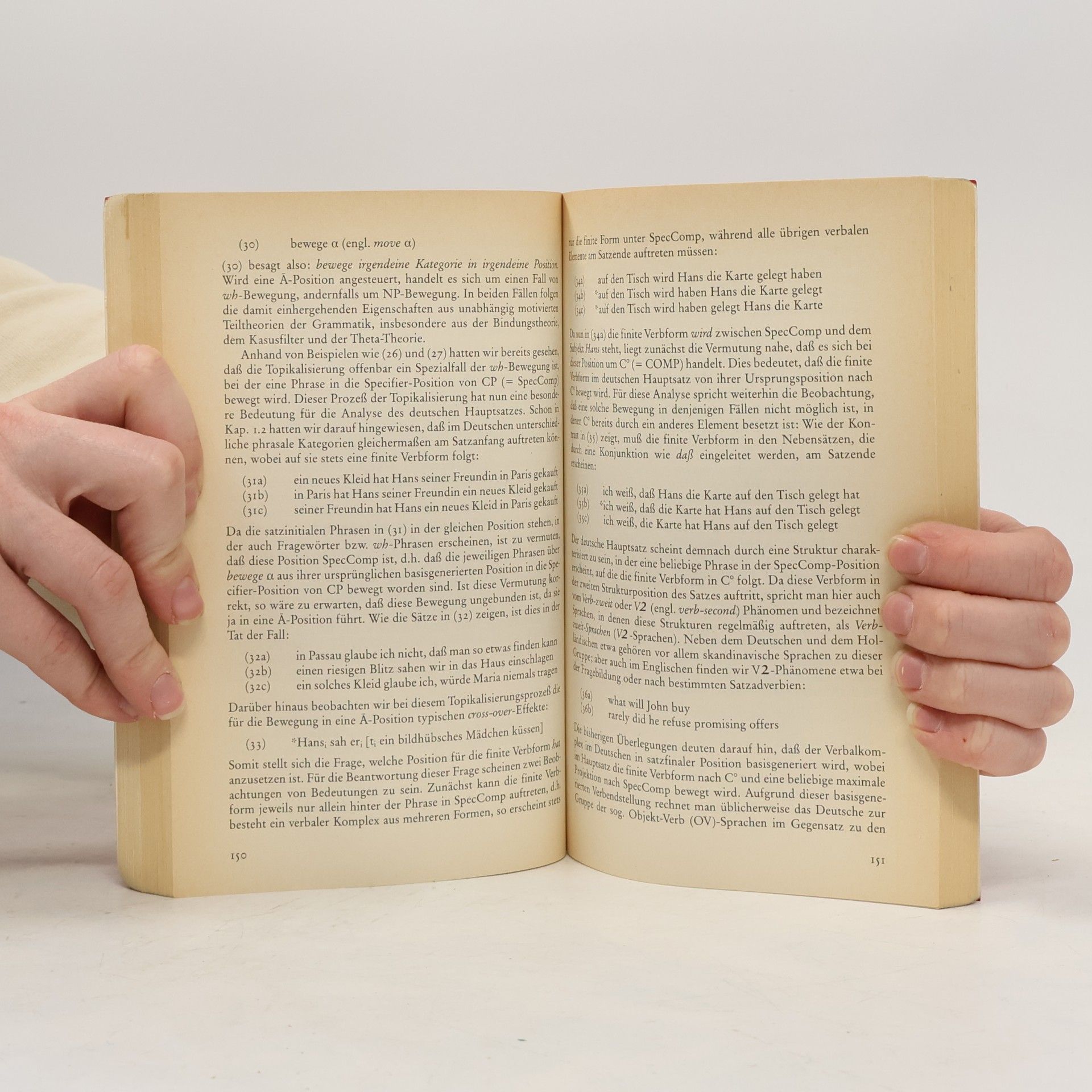 Sascha W. Felix Sprachtheorie: Die Rektions- und Bindungstheorie