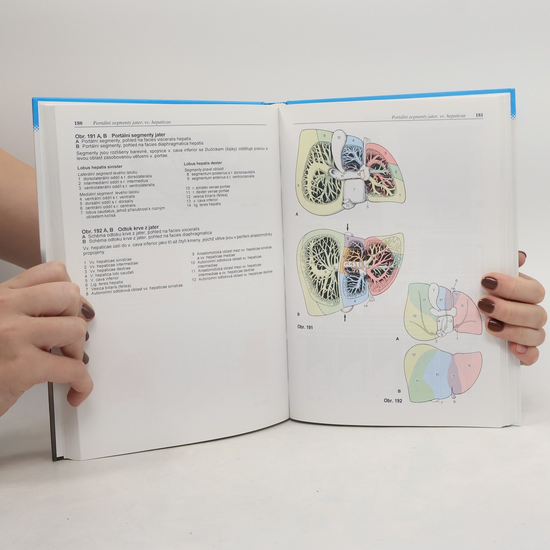 Gerhard Spitzer Atlas topografické anatomie