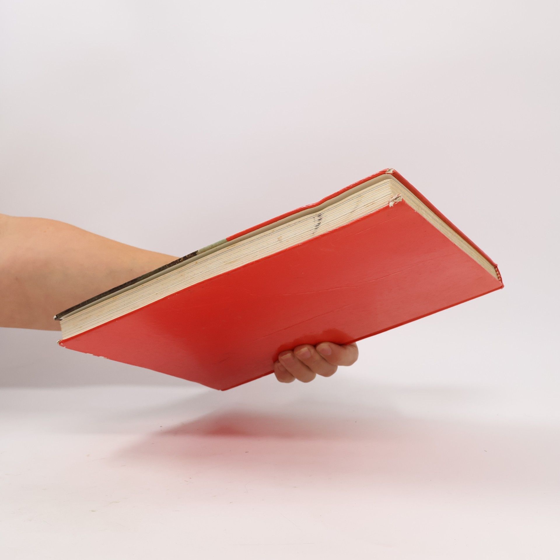 Autorenkollektiv Das große Weihnachtsbuch