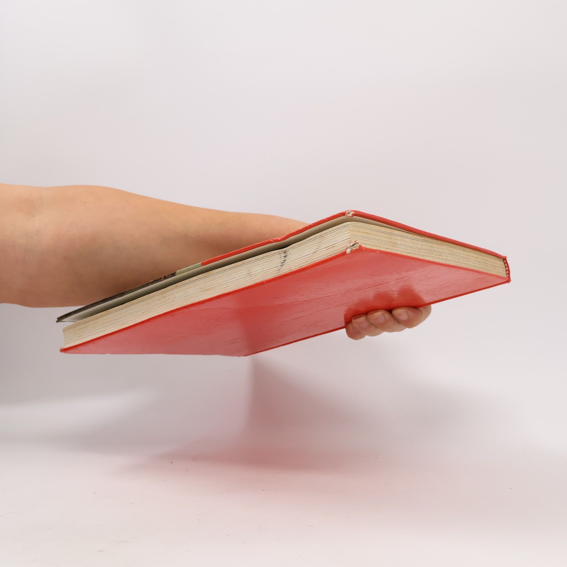 Autorenkollektiv Das große Weihnachtsbuch